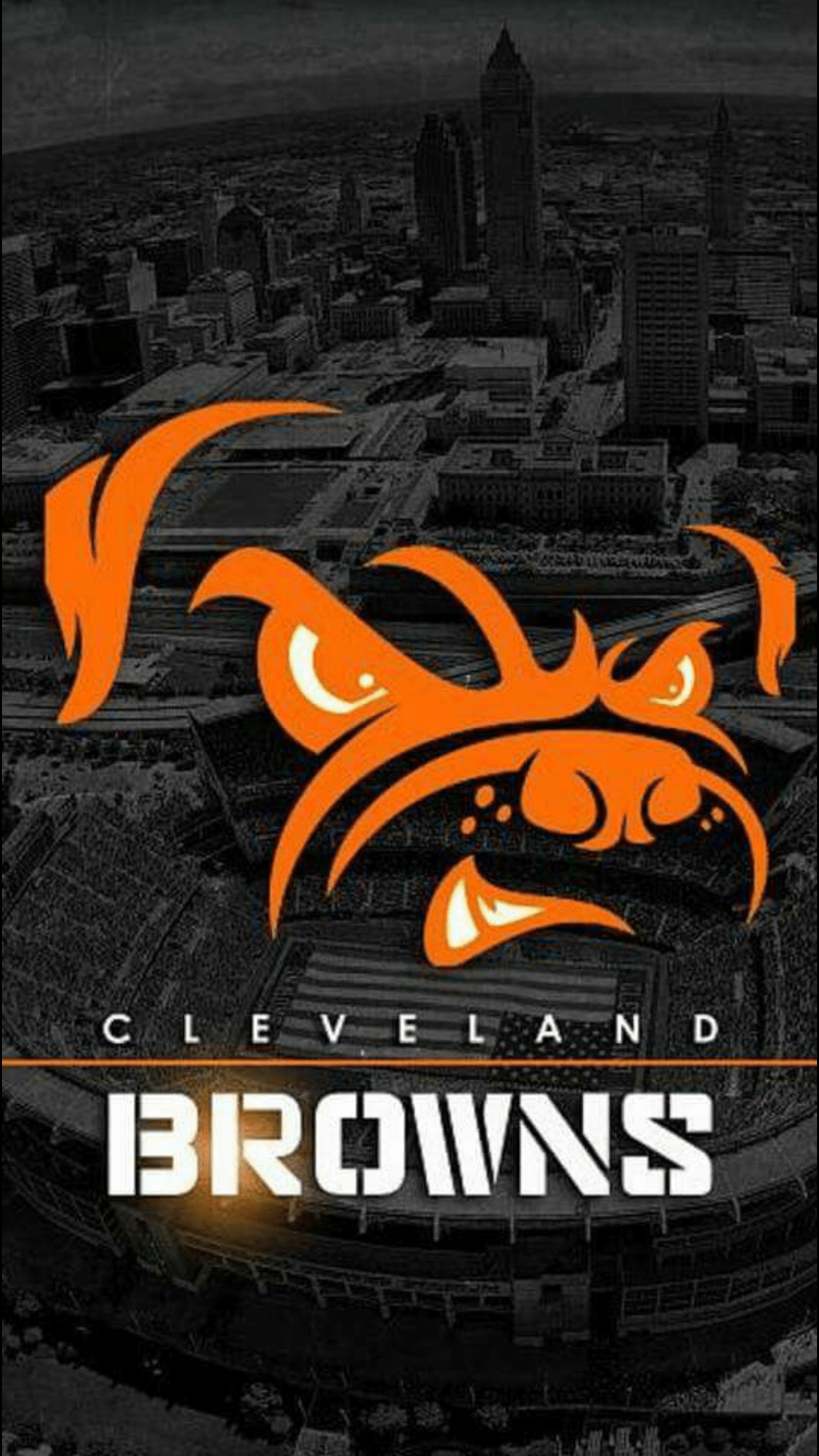 1250x2210 Cleveland Browns Wallpaper. HD and 4K, Phone