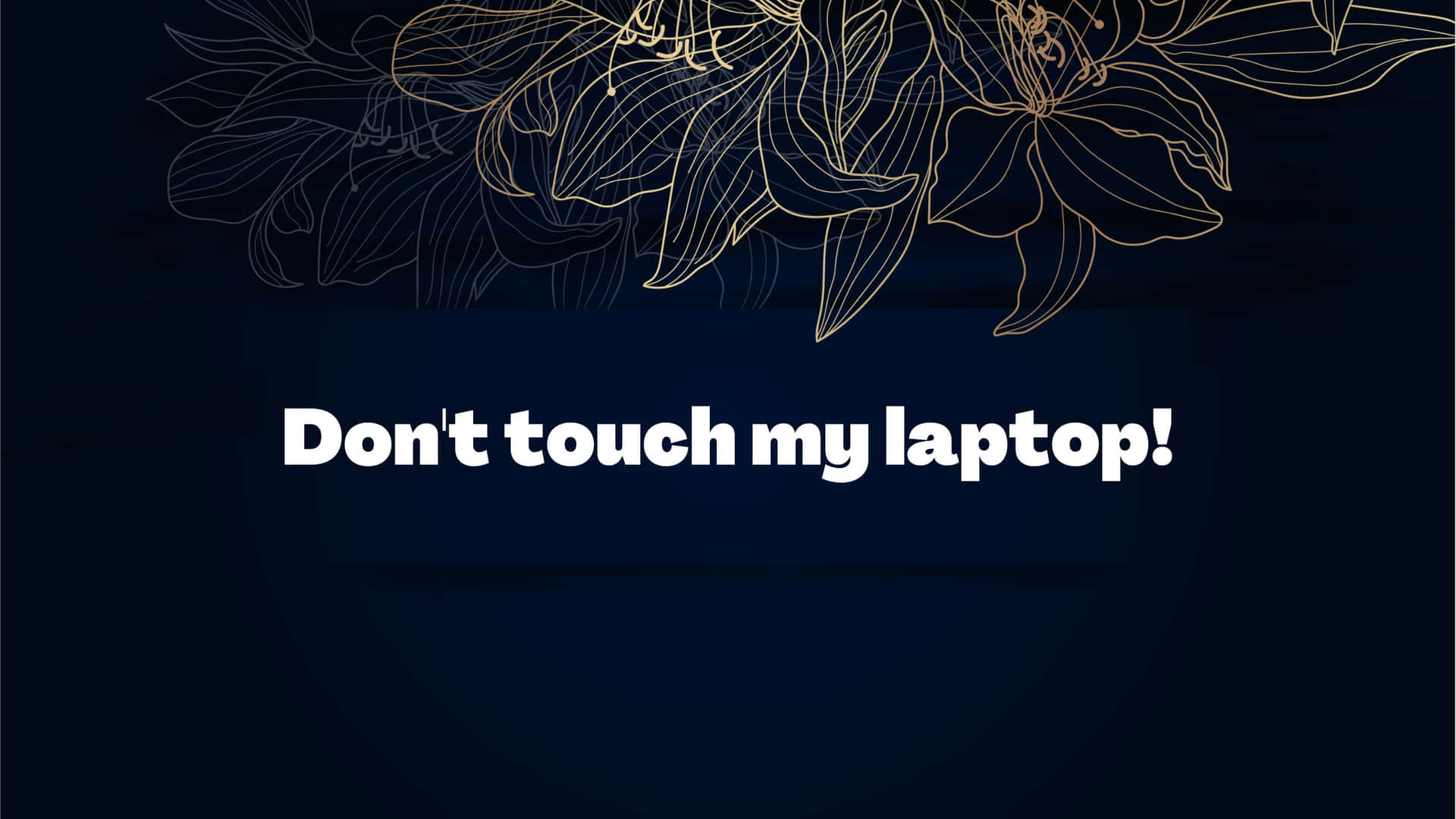 1920x1080 Dont Touch My Laptop Wallpaper, Desktop