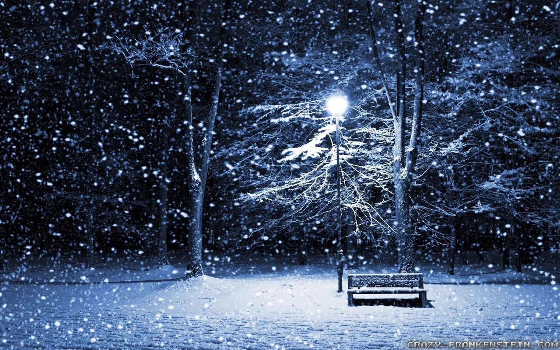 1920x1200 Videos Data Src Download Free Beautiful Winter Wallpaper Season At Night, Desktop