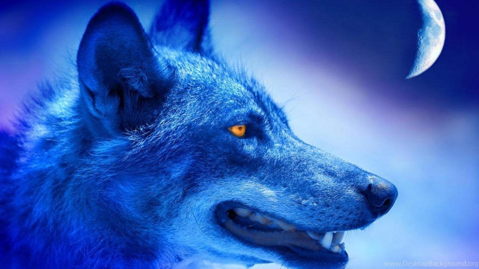 1600x900 ALPHA WOLF WALLPAPER Desktop Background, Desktop