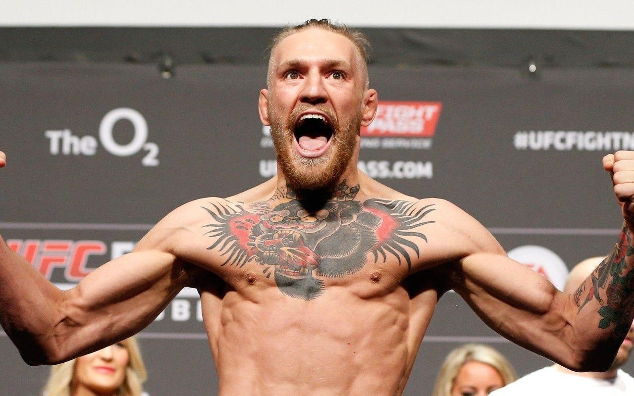 1280x800 Conor Macgregor Desktop Wallpaper, Desktop