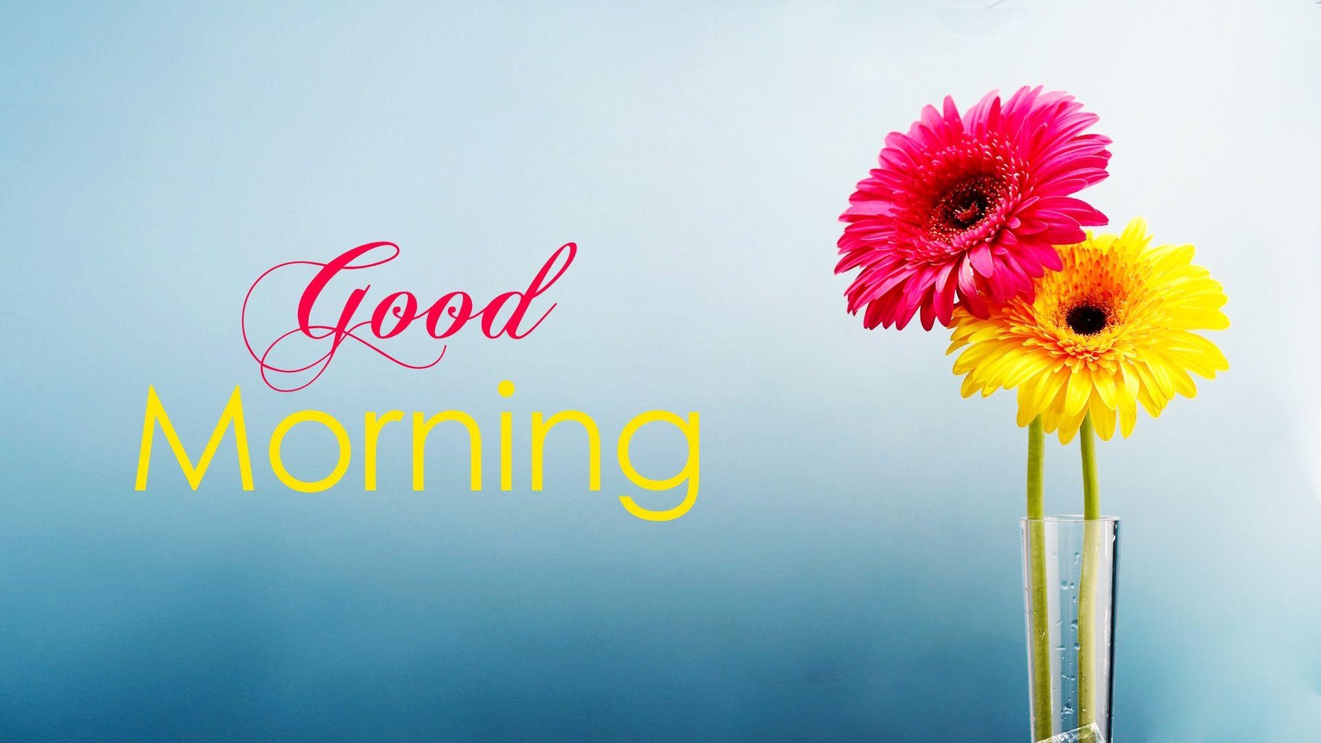 1920x1080 Good Morning Wallpaper with Flowers, Full HD  GM Image, Desktop