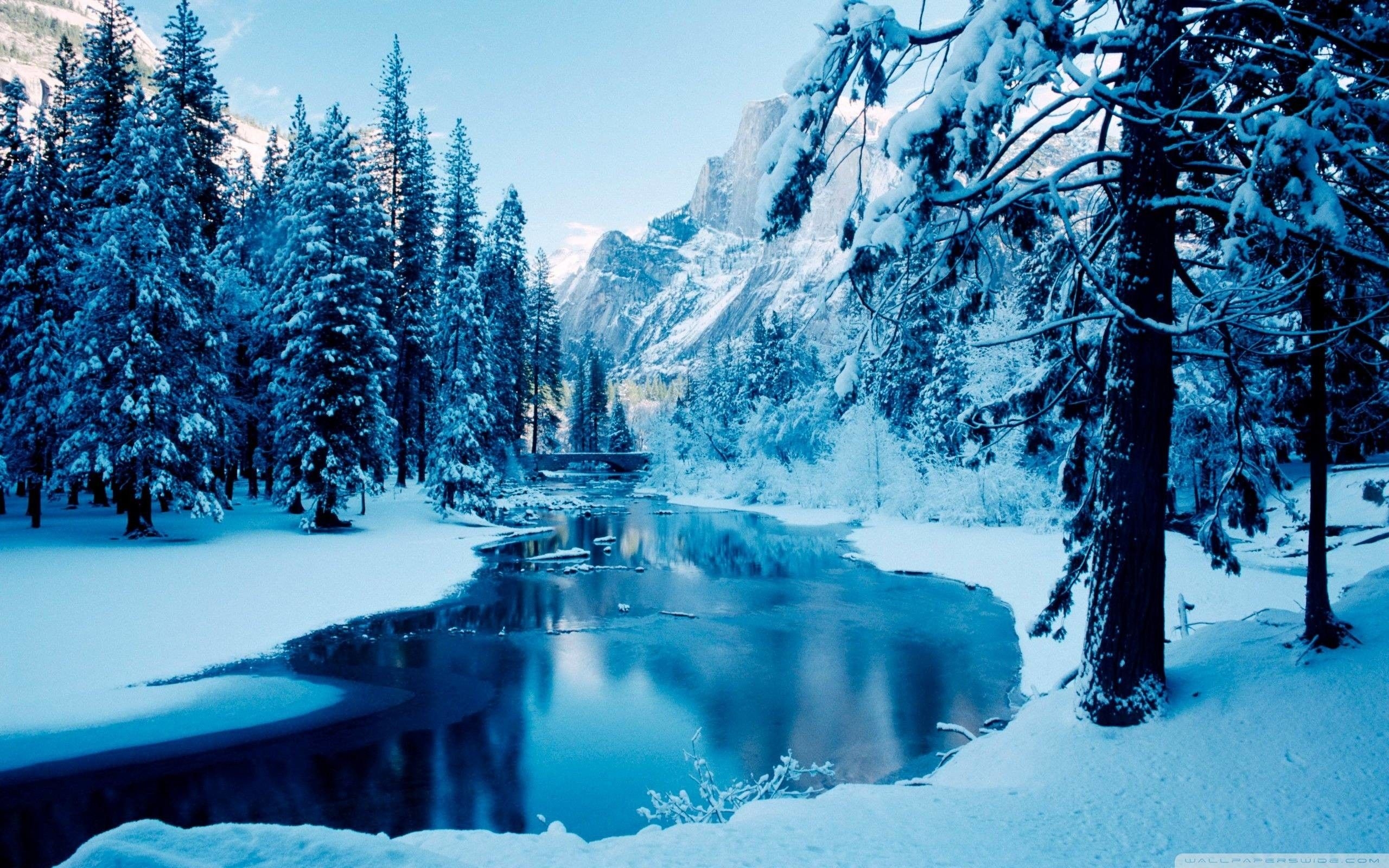 2560x1600 Winter Landscape Wallpaper, Desktop