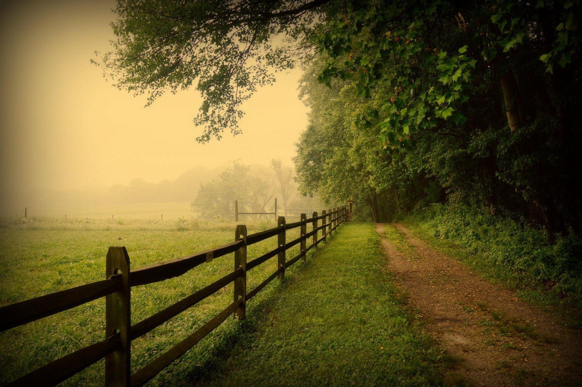 1920x1280 usa pennsylvania united states pennsylvania fence road fog tree, Desktop