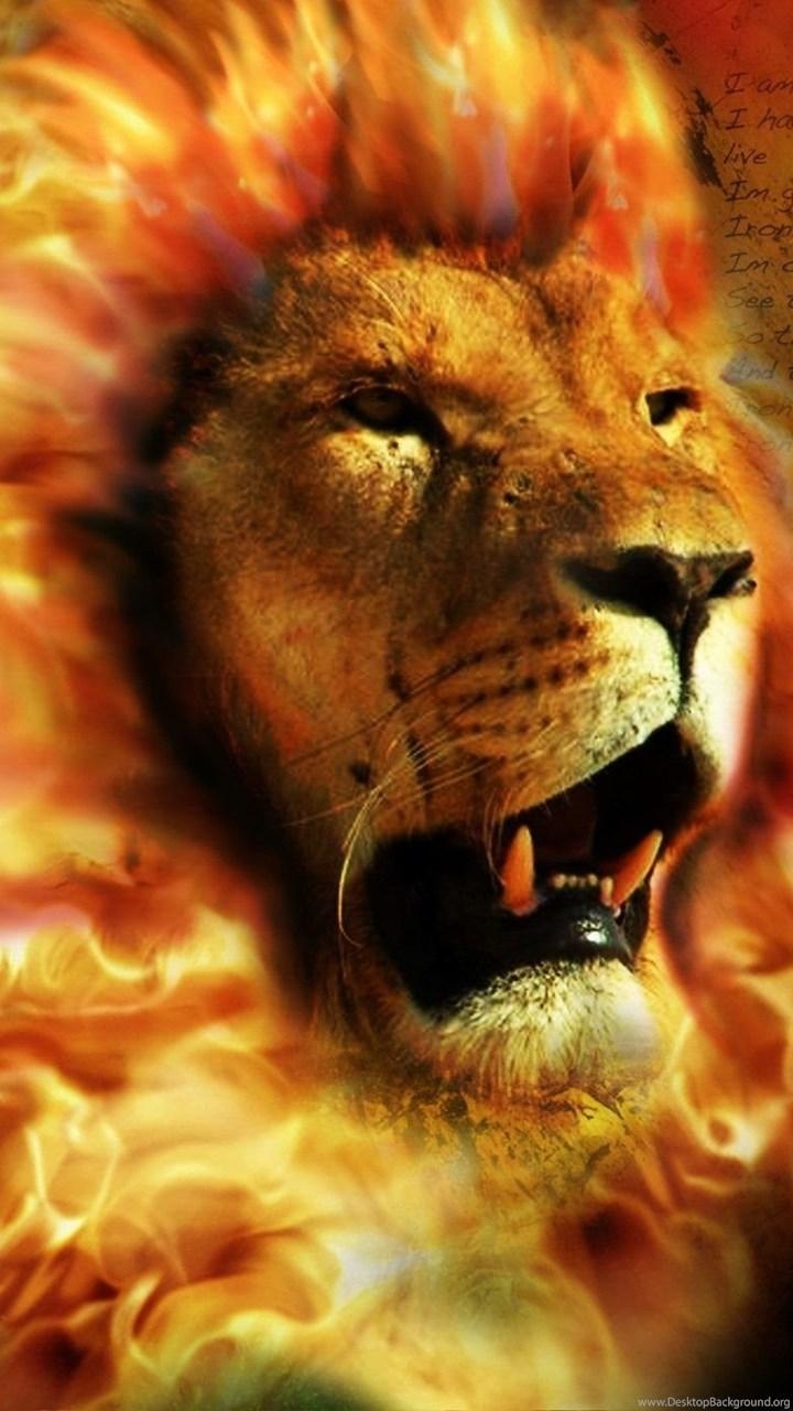 720x1280 Angry Lion Wallpaper Desktop Background, Phone