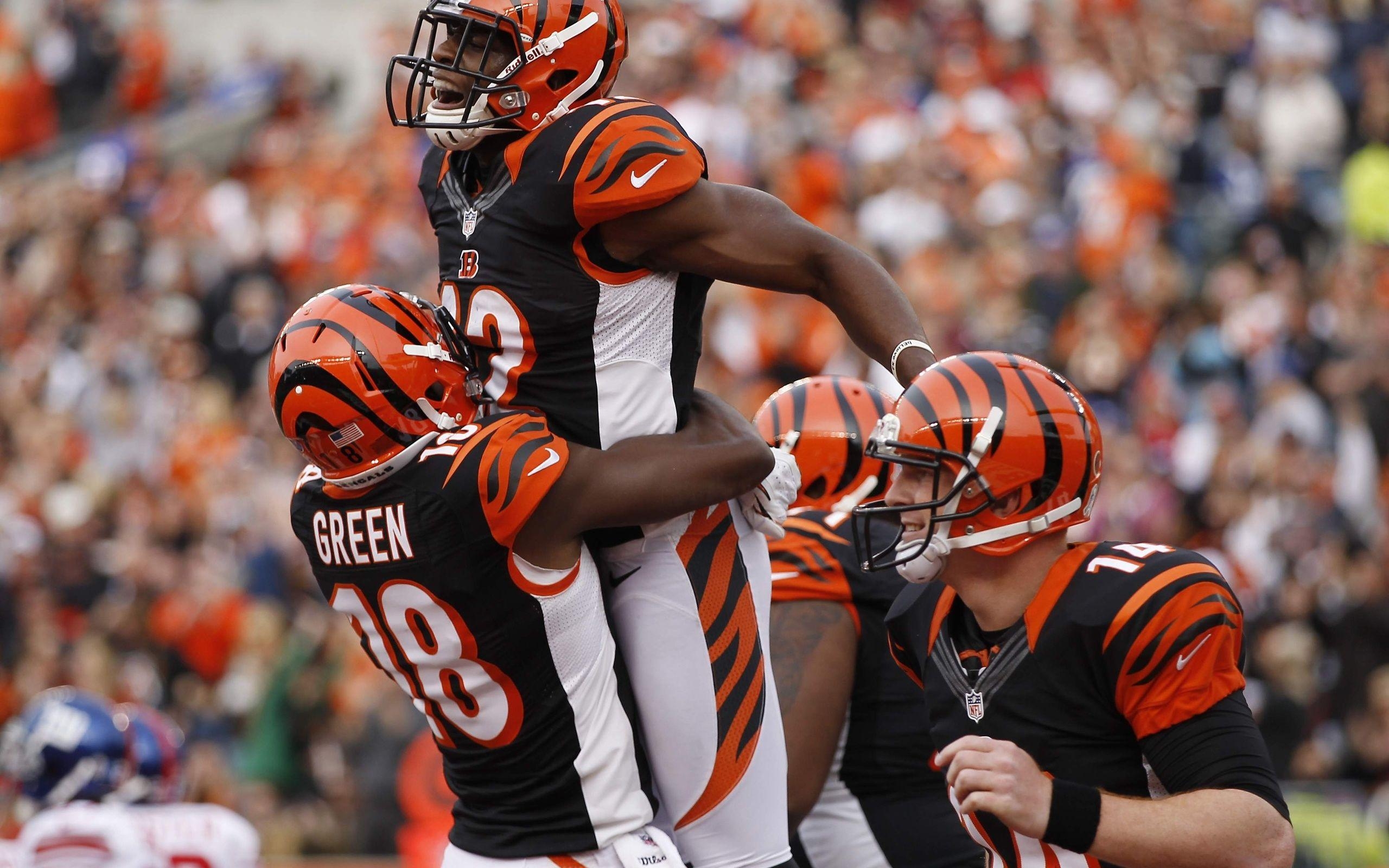 2560x1600 American Football, Nfl, Cincinnati Bengals, Cincinnati, Desktop