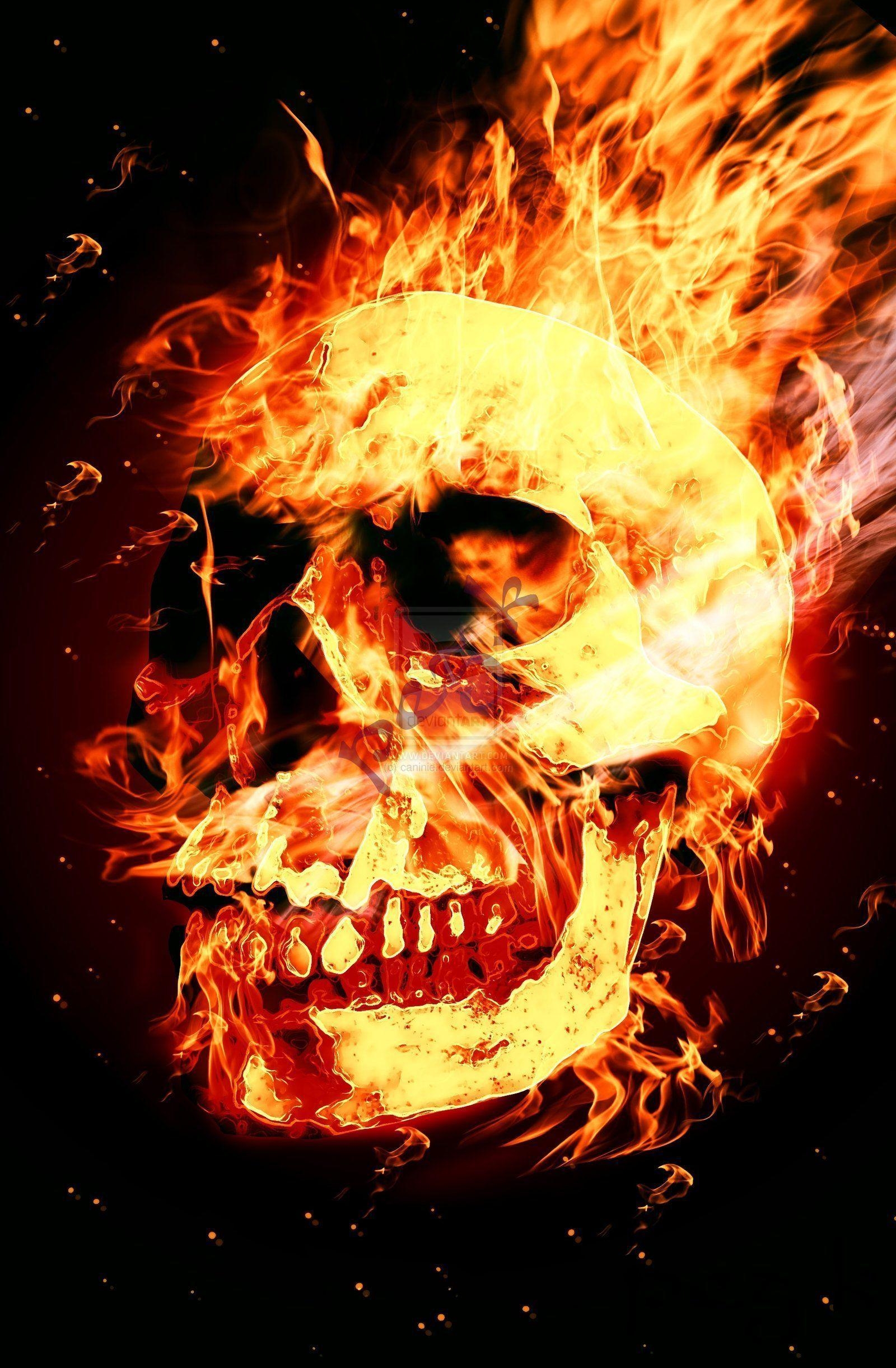 1600x2450 Fire Skull Pics, wallpaper, Fire Skull Pics HD wallpaper, Phone