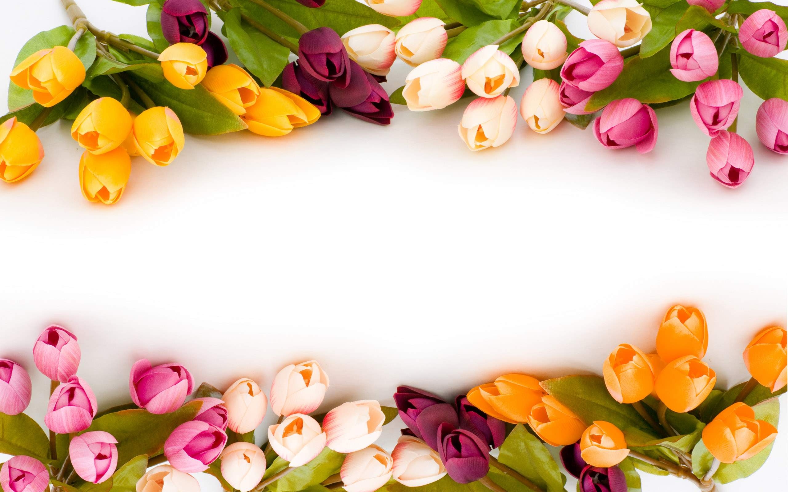 2560x1600 Free Flower Image, Download Free Clip Art, Free Clip Art on Clipart Library, Desktop