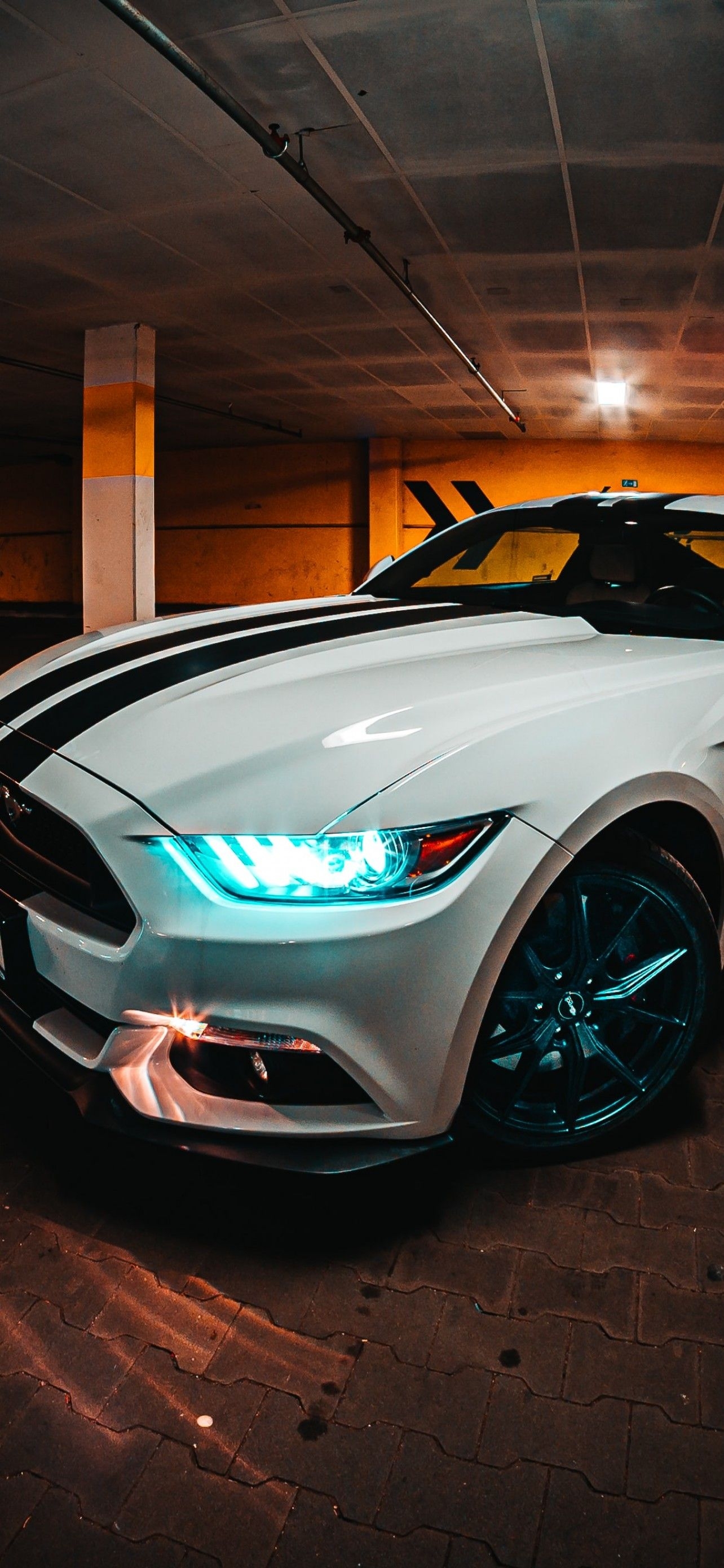 1290x2780 Ford Mustang 4K Wallpaper, Night, Cellar, Cars, Phone