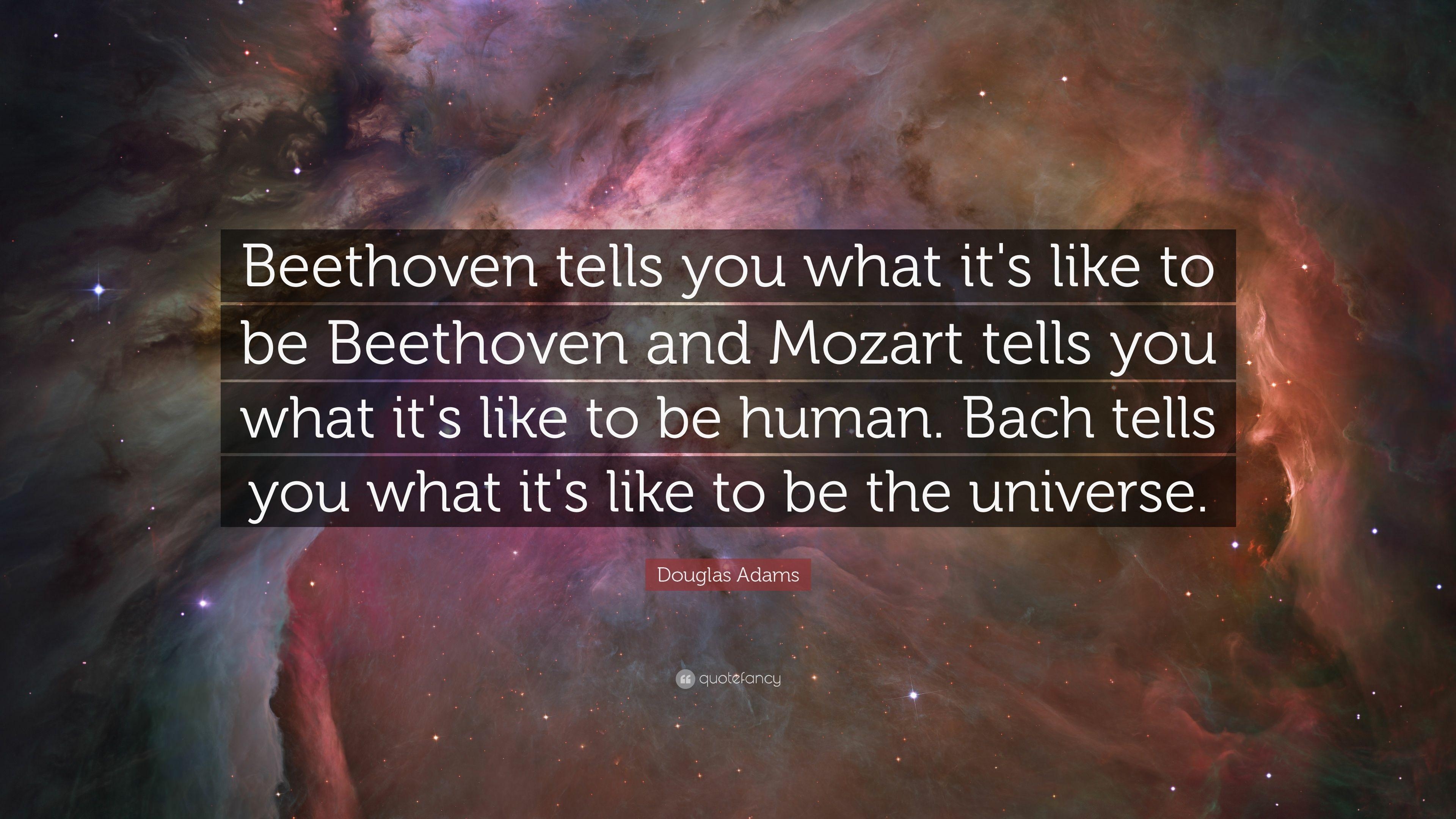 3840x2160 Douglas Adams Quote: “Beethoven tells you what it's like to be, Desktop