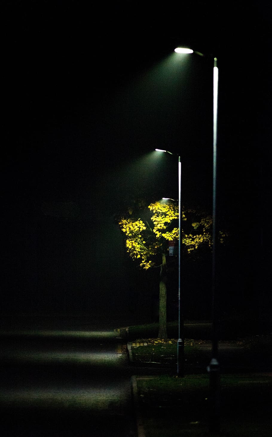 910x1470 HD wallpaper: streetlight, mist, road light, scene, autumn, outdoor, night, Phone