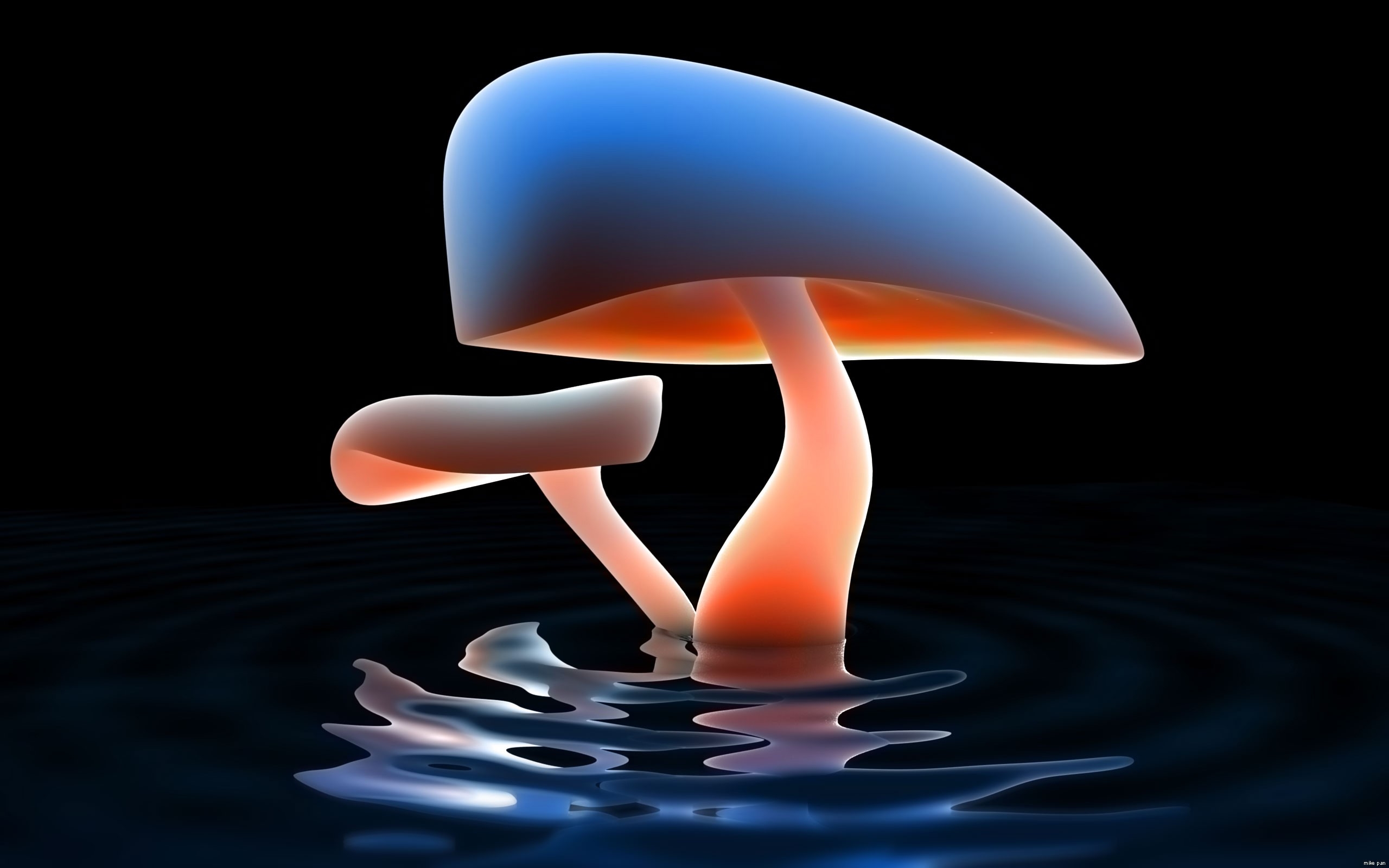 2560x1600 HD Wallpaper for theme: mushroom HD wallpaper, background, Desktop