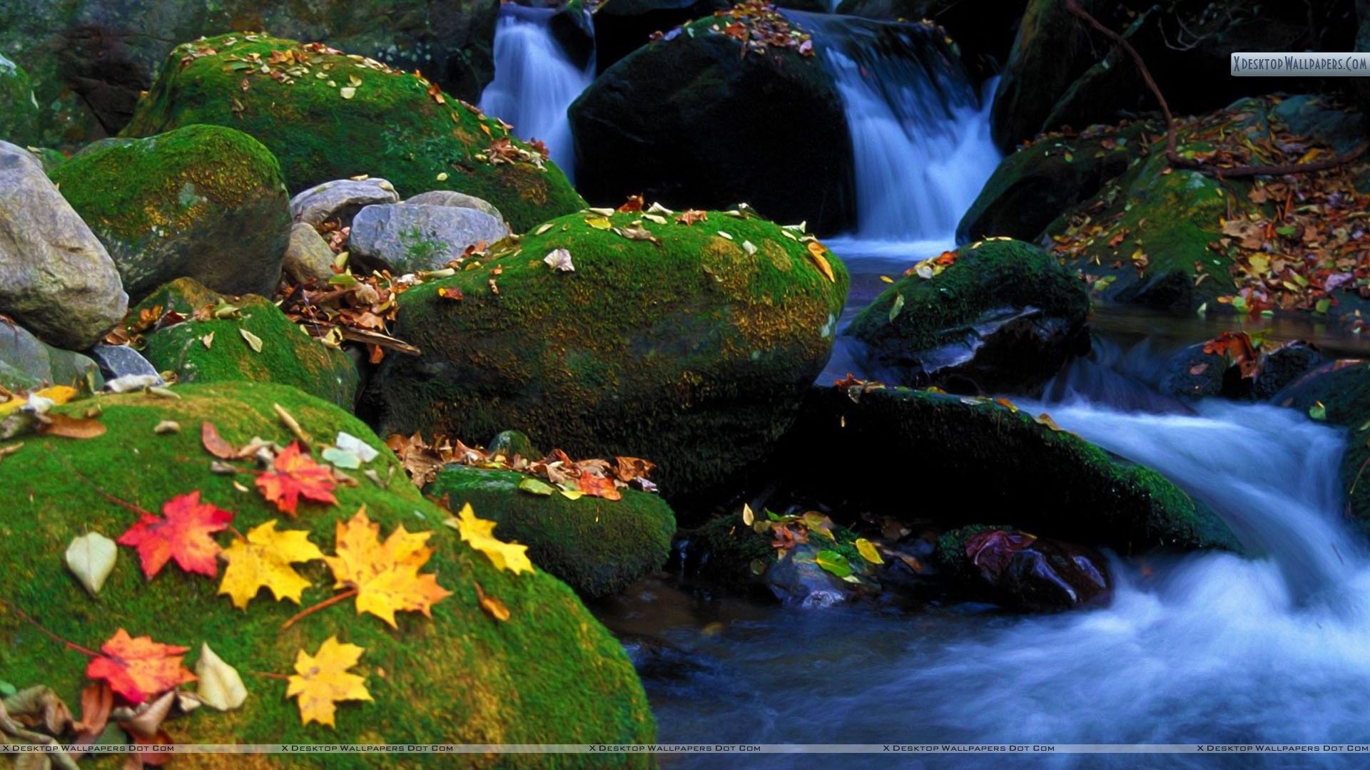 1920x1080 Cascade And Autumn Leaves Great Smoky Mountains National Park, Desktop