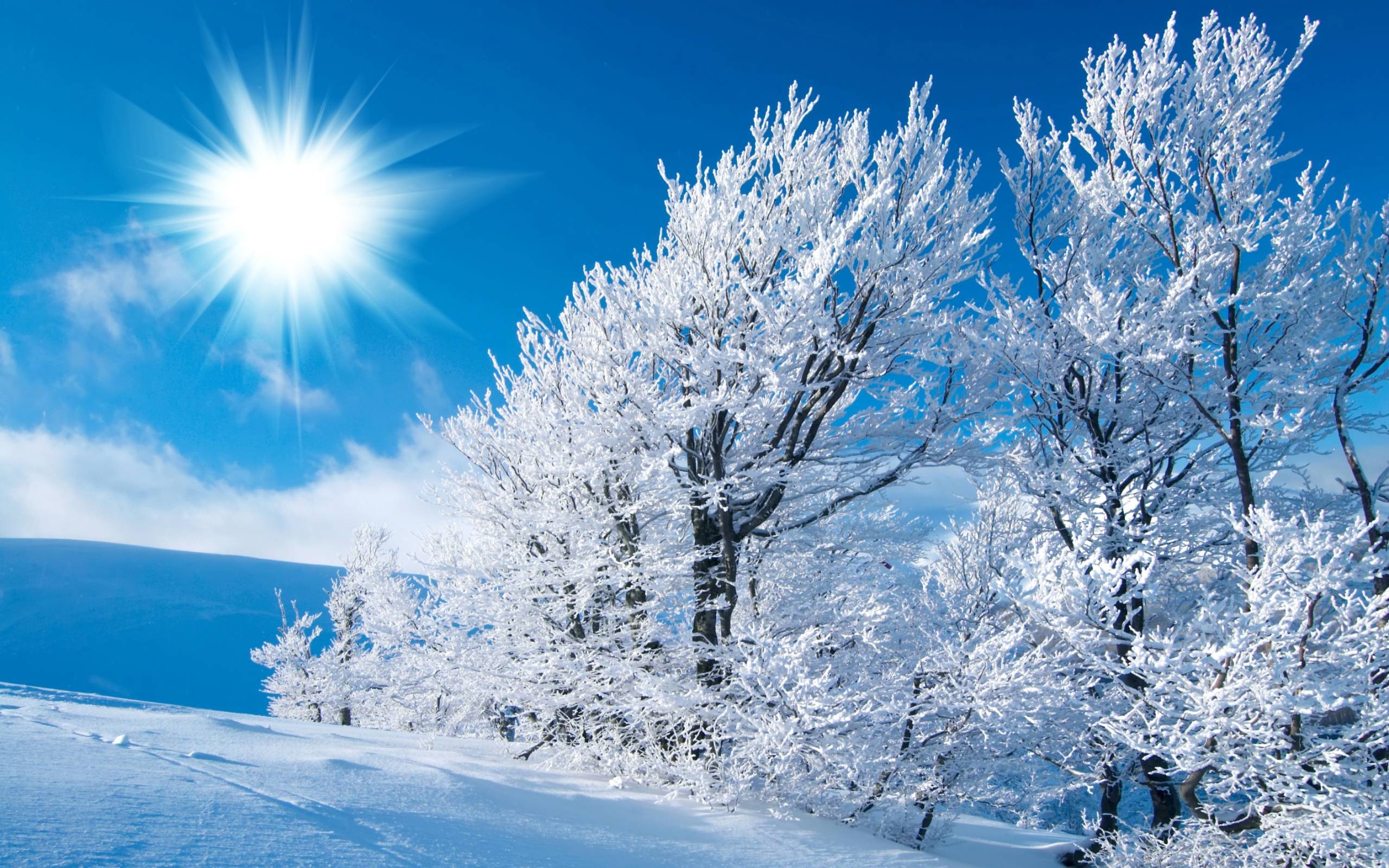 2560x1600 winter scene desktop wallpaper 2015, Desktop