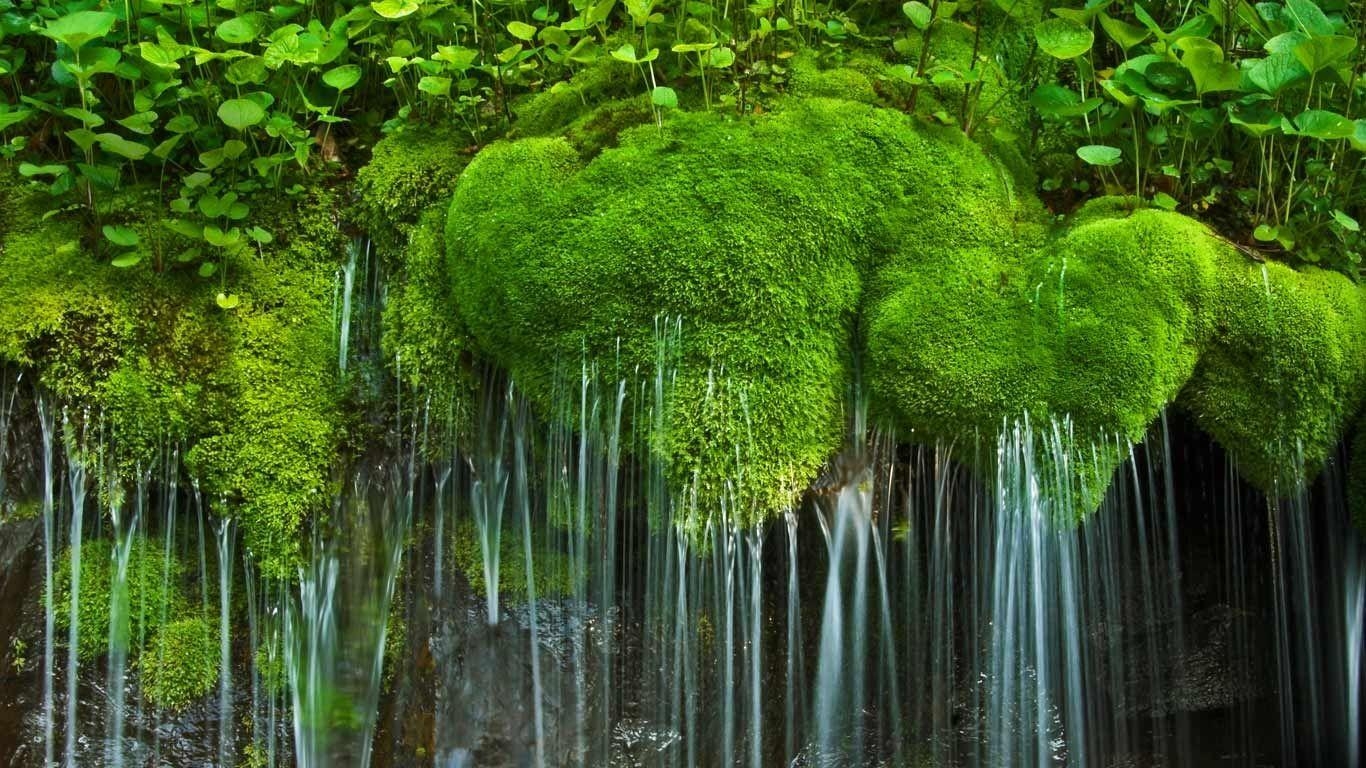 1370x770 Waterfall and moss, Shenandoah National Park, Virginia © Oliver, Desktop