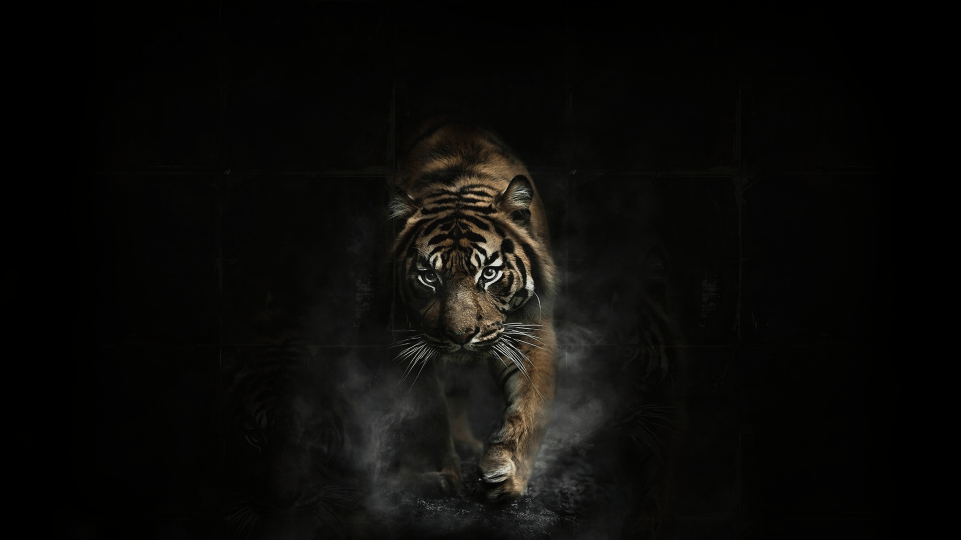 1920x1080 Black Tiger Wallpaper Free Black Tiger Background, Desktop