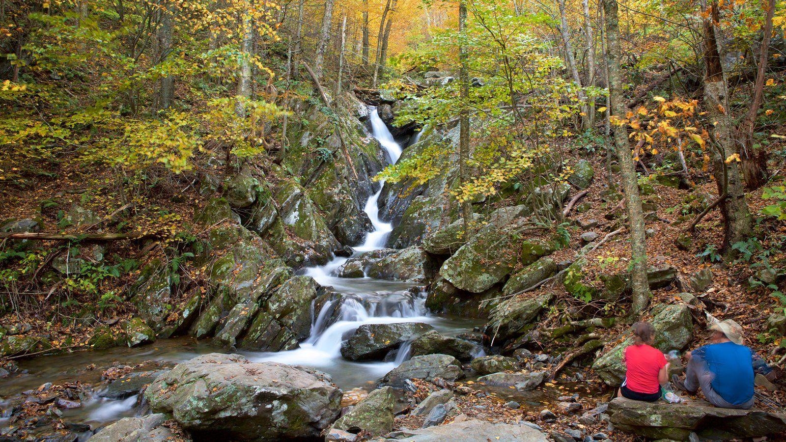 1600x900 Nature Picture: View Image of Shenandoah National Park, Desktop