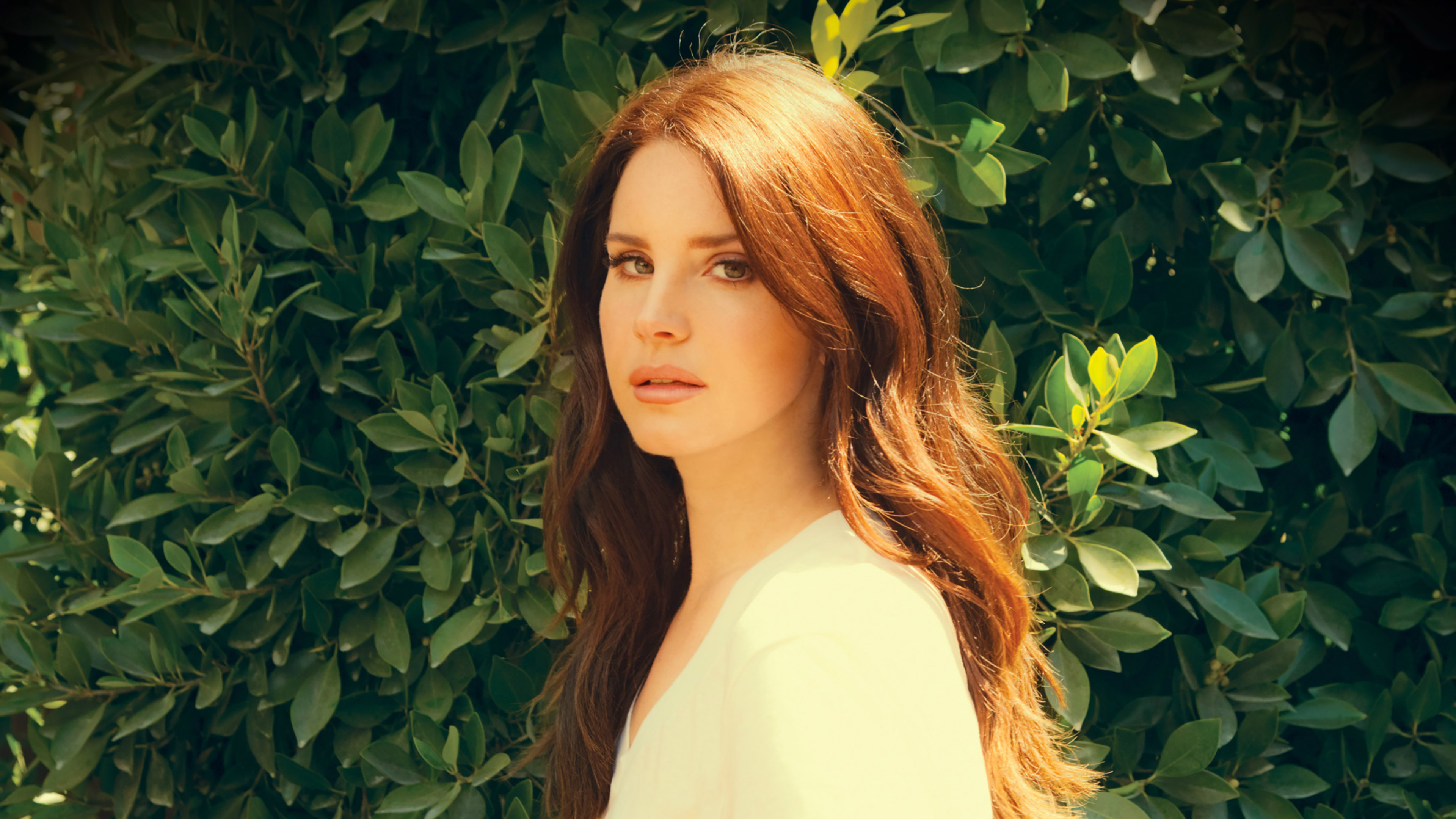 3840x2160 wallpaper for desktop, laptop. lana del rey music singer celebrity, Desktop