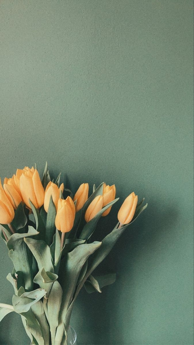 680x1200 Tulips. Vintage posterler, Arkaplan tasarımları, Resim duvarı. 花のiphoneの壁紙, 花 壁紙, 花 アイコン, Phone