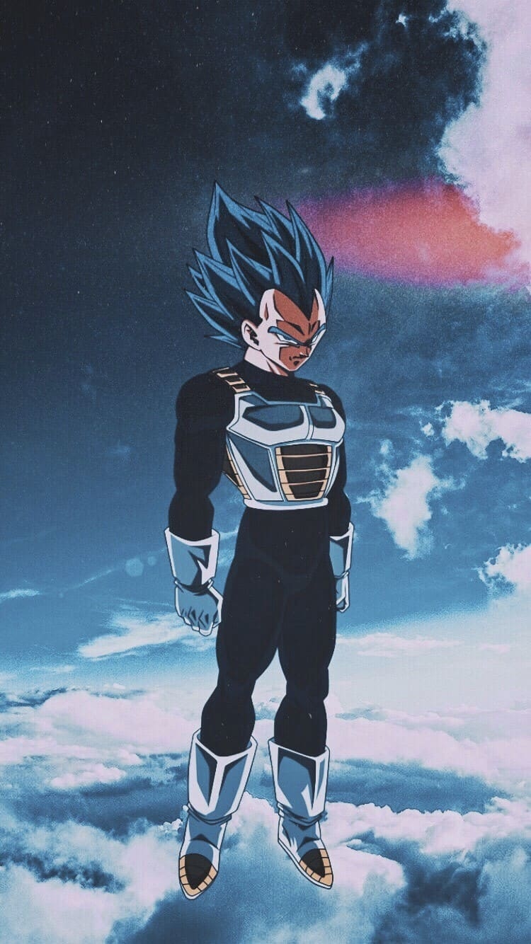 750x1340 Vegeta Phone Wallpaper, Phone