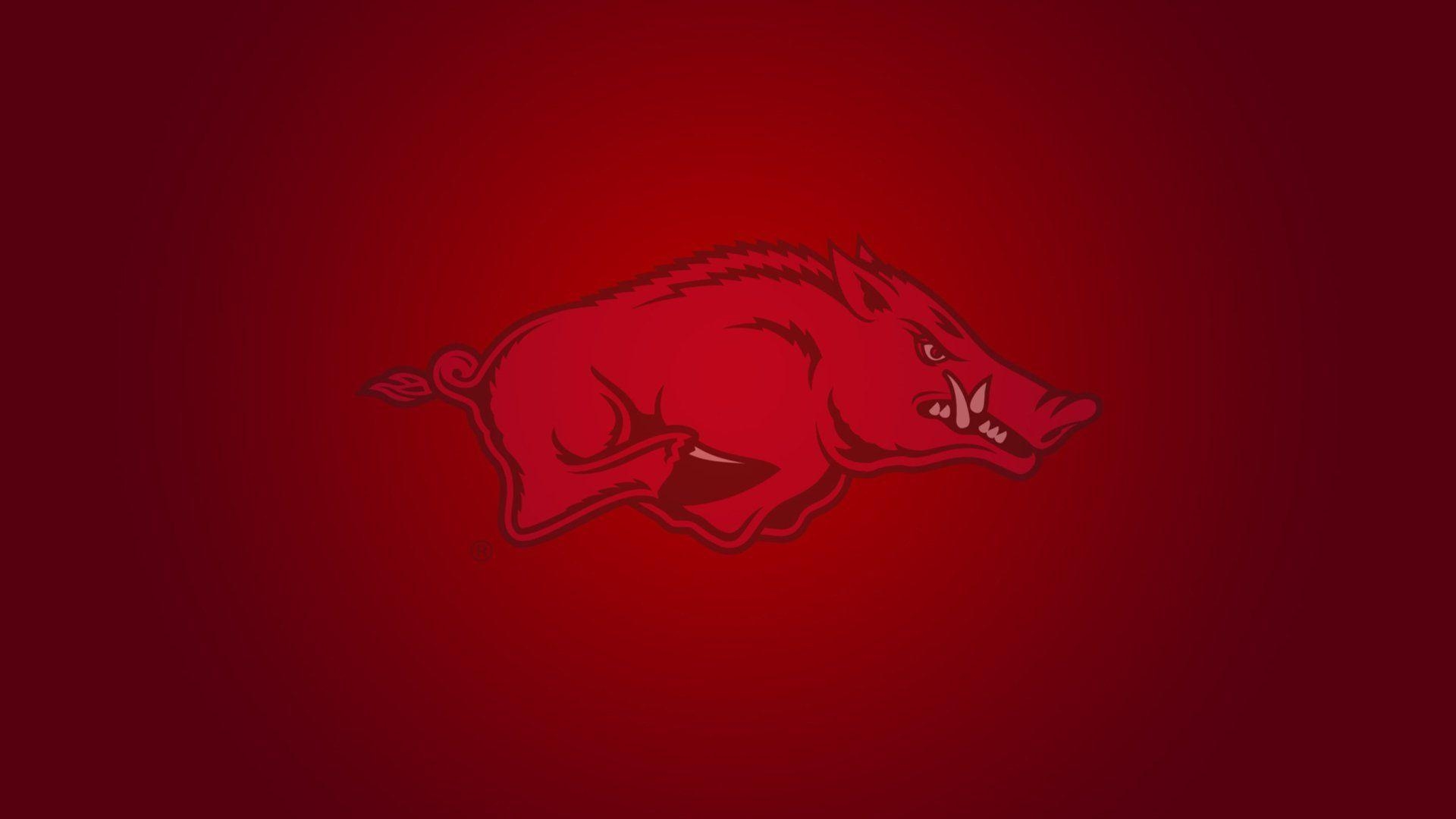 1920x1080 Razorback Wallpaper for Android, Desktop