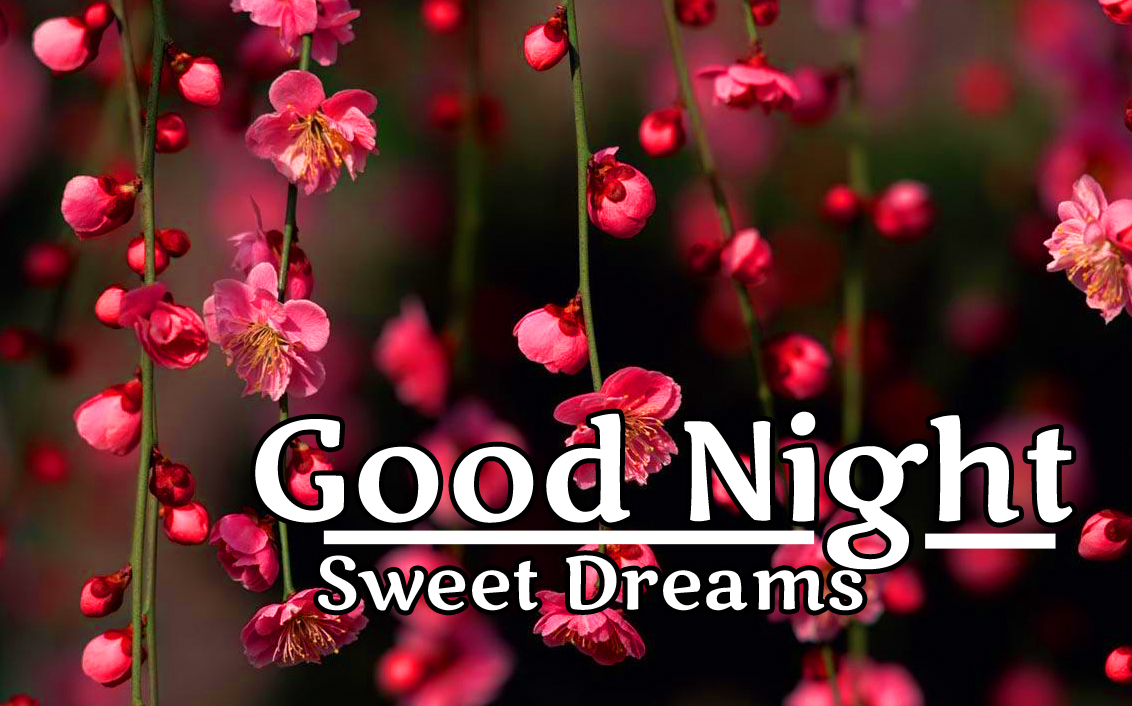 1140x710 Beautiful Flowers Good Night Wallpaper, Desktop