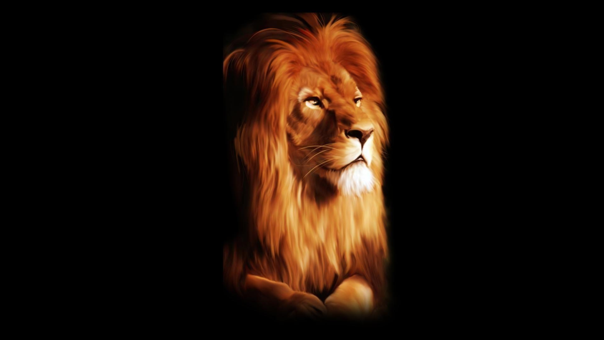 1920x1080 Dangerous & Angry Lion image. Beautiful image HD Picture, Desktop