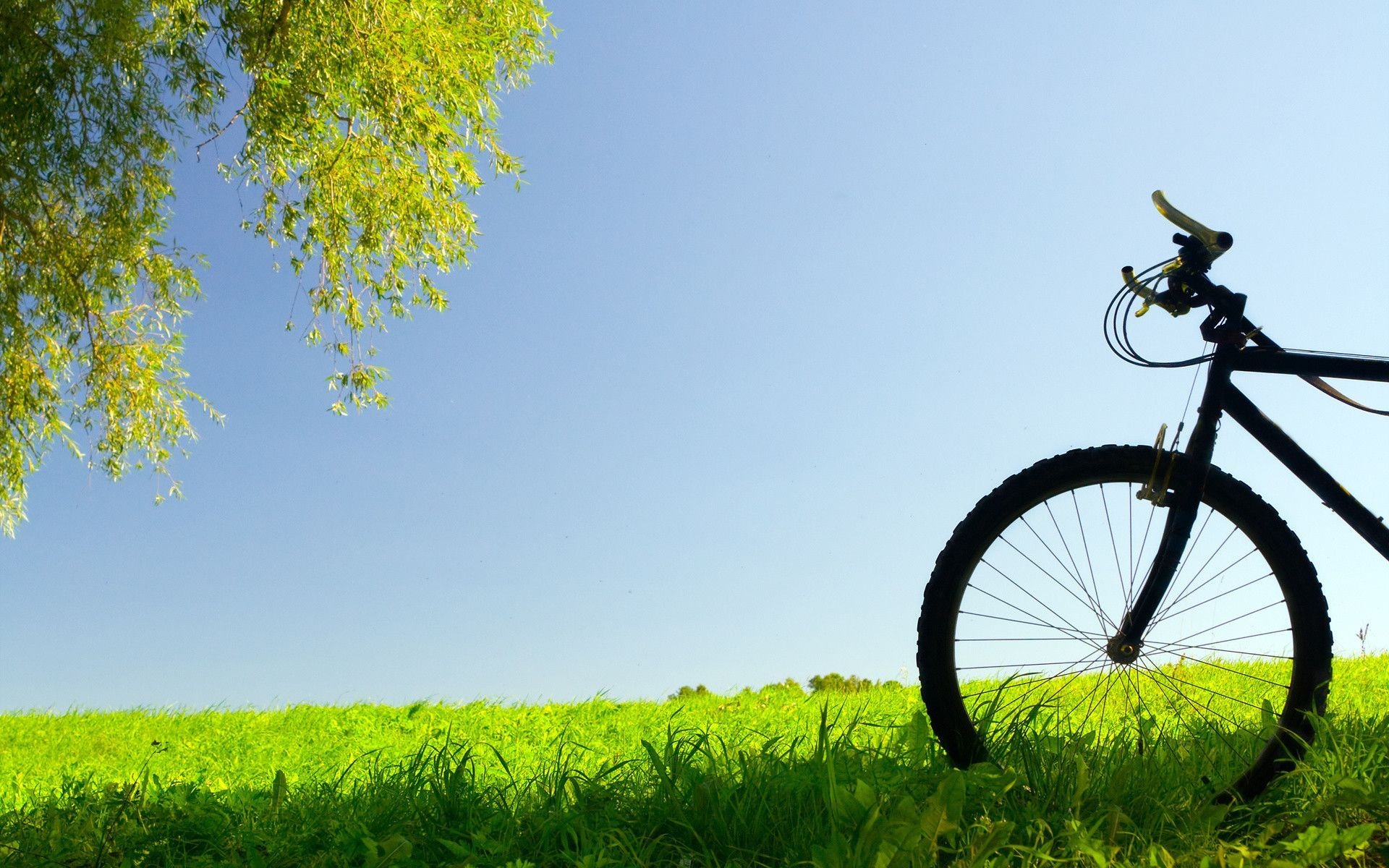 1920x1200 HD Creative Bicycle Picture, Full HD Wallpaper, Desktop