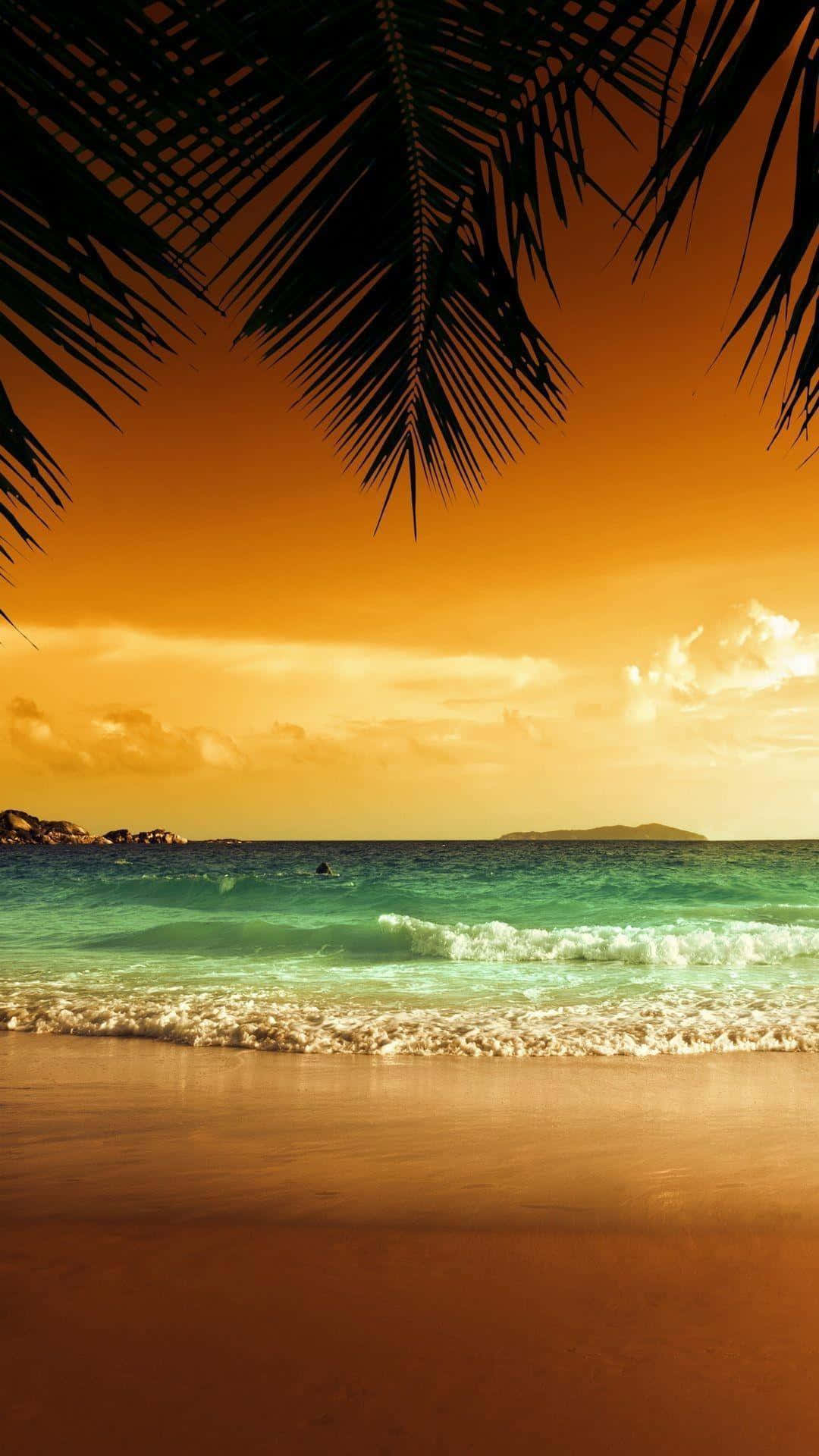 1080x1920 Download Cinematic Sunset Beach Tropical iPhone Wallpaper, Phone