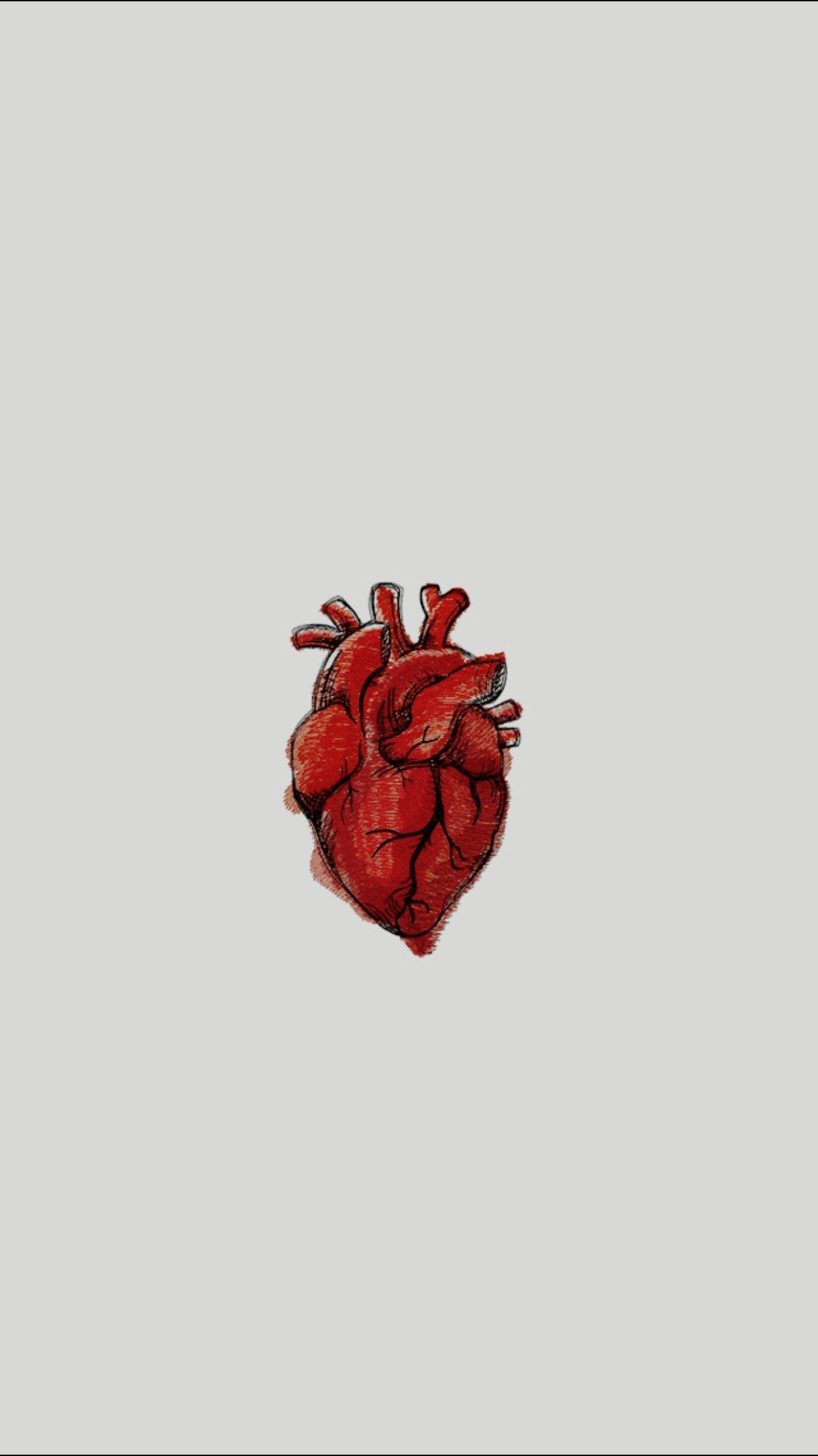 1250x2210 Real Heart Wallpaper Free Real Heart Background, Phone