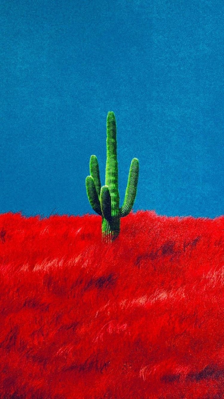 750x1340 Free download Heres a 916 Cactus Wallpaper travisscott [787x1400] for your Desktop, Mobile & Tablet. Explore Travis Scott HIGHEST IN THE ROOM Wallpaper. Travis Scott HIGHEST IN THE ROOM, Phone