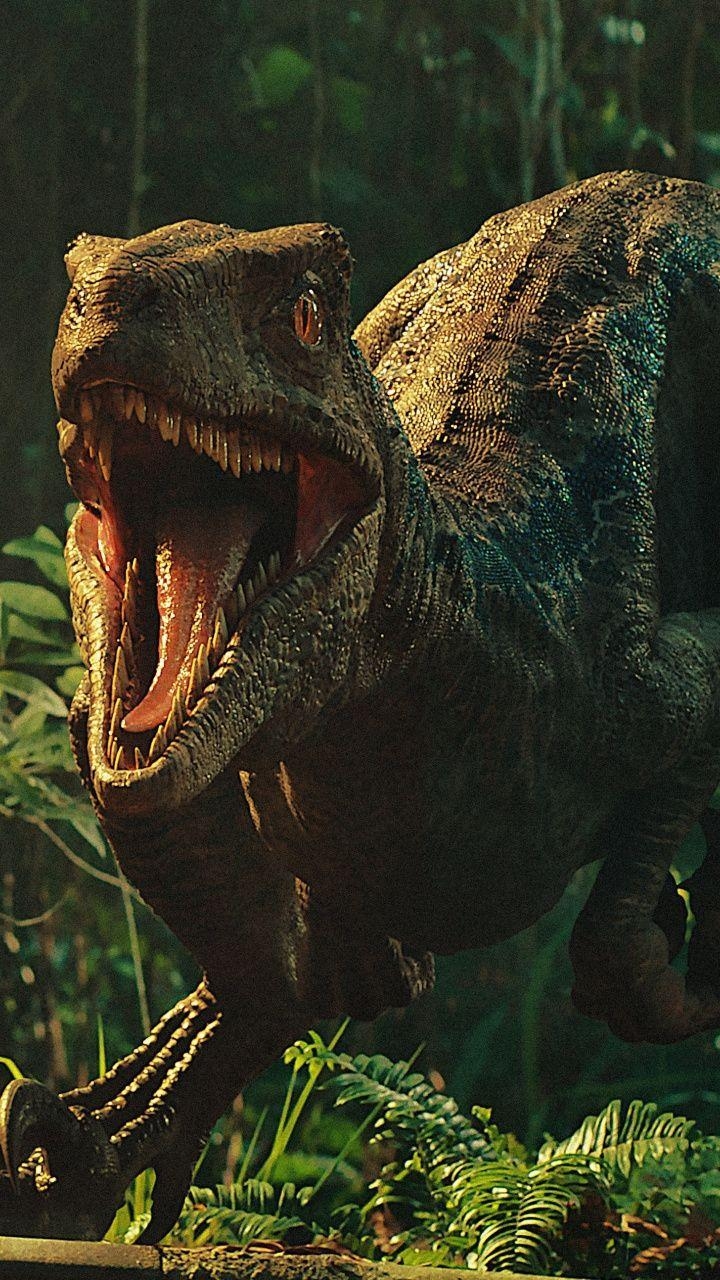 720x1280 Movie, Jurassic World: Fallen Kingdom, dinosaur,  wallpaper. Jurassic world wallpaper, Blue jurassic world, Jurassic park world, Phone