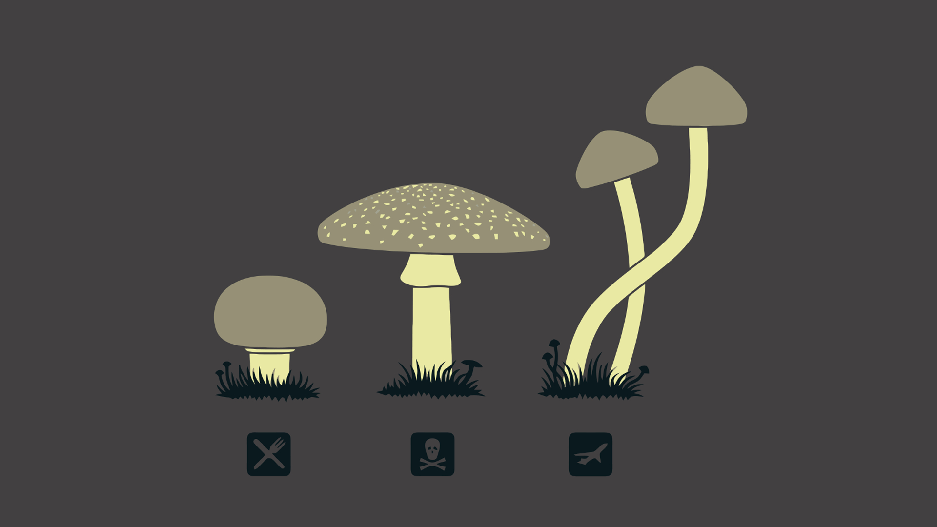 1920x1080 shrooms Wallpaper FullHDWpp HD Wallpaper, Desktop