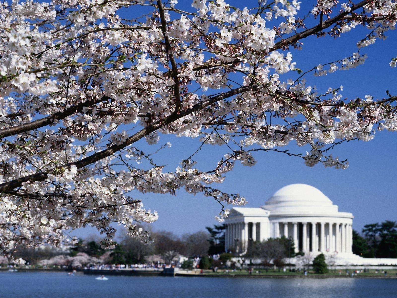 1600x1200 Jefferson Memorial, Washington DC, United States. Popular Vacation, Desktop