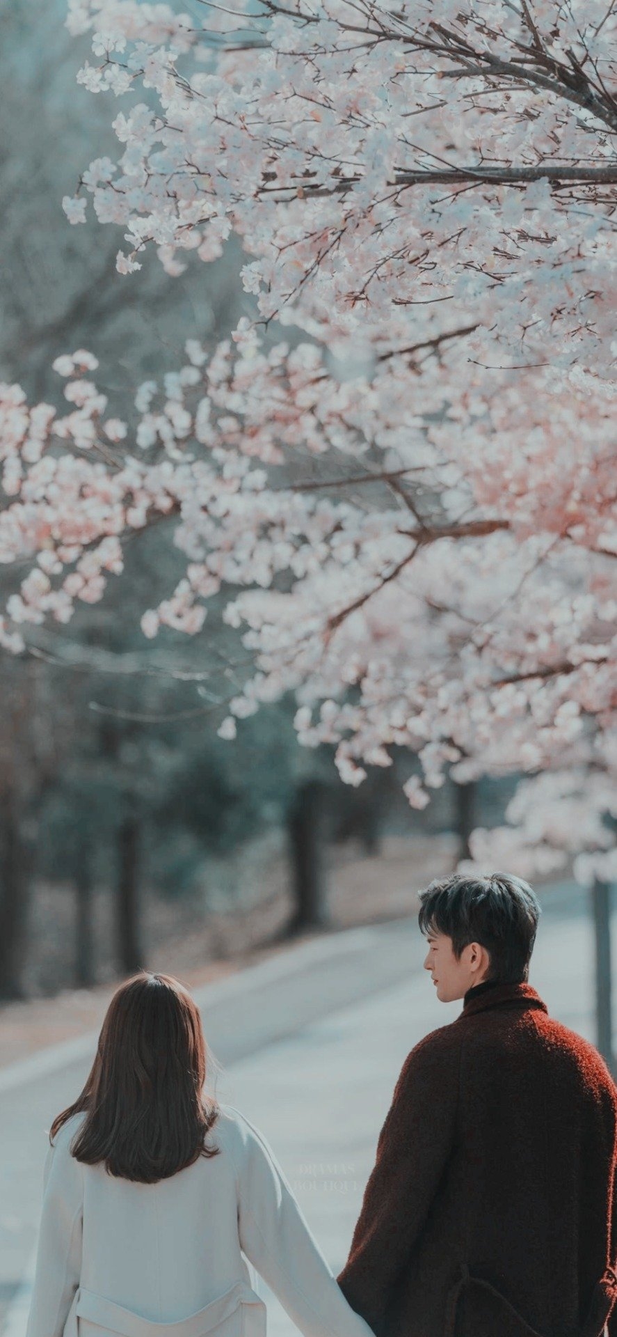 890x1920 korean drama wallpaper, Phone