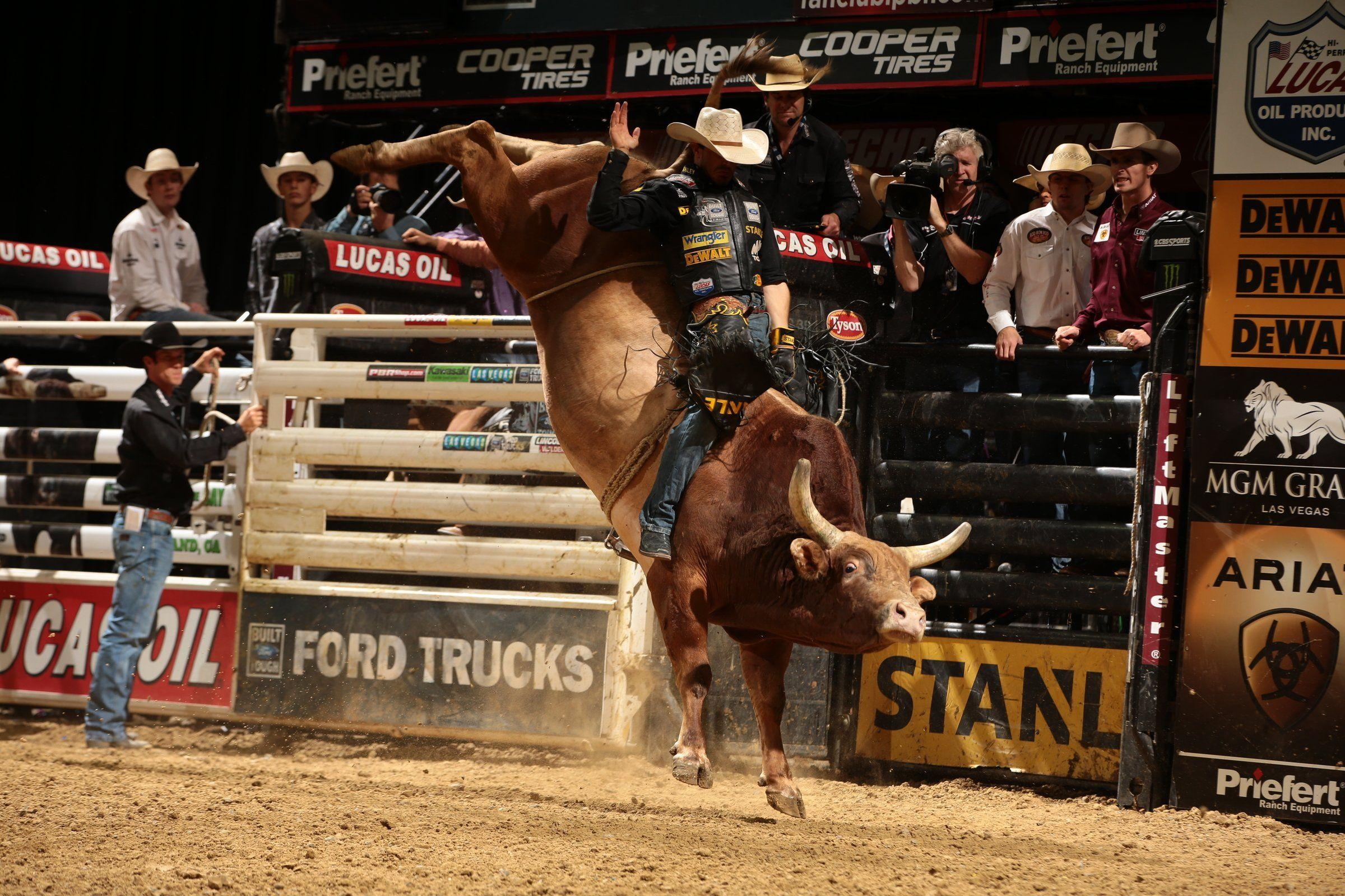 2400x1600 Bull Riding Background Free Download, Desktop