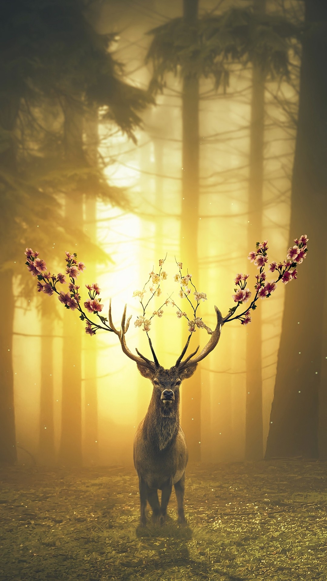 1080x1920 Spring Deer Forest Wallpaper, Phone