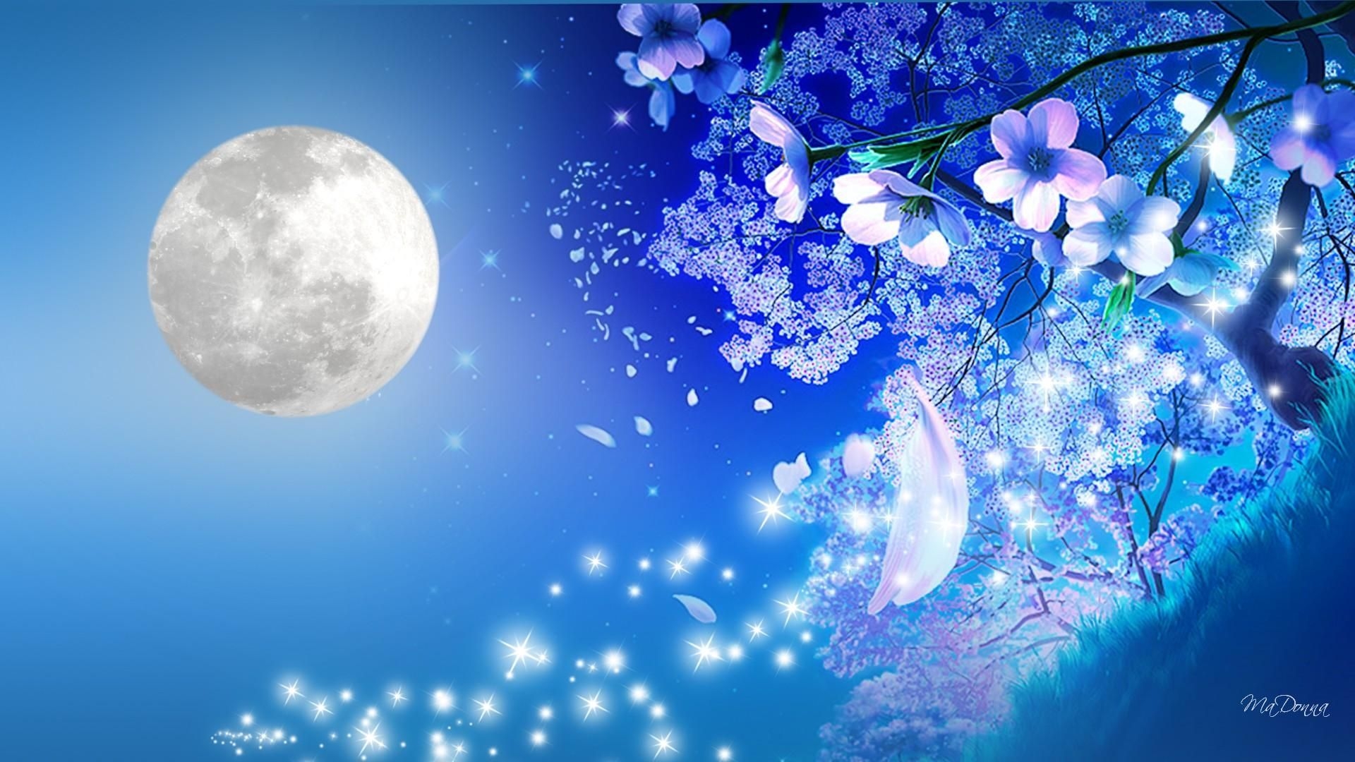 1920x1080 Cherry Blossom Wallpaper Night 671662 Night Cherry Blossom, Desktop