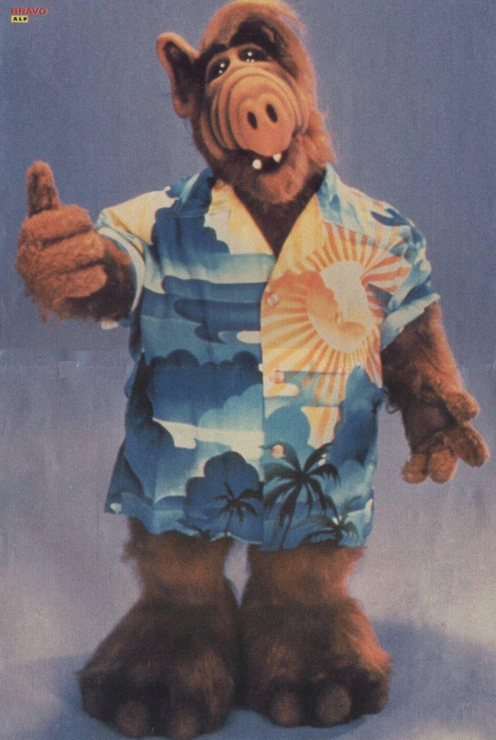 970x1440 imagenes de alf con Google. Alf. Childhood, Phone