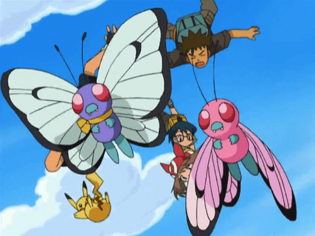 1080x810 Why Butterfree Is My, Desktop