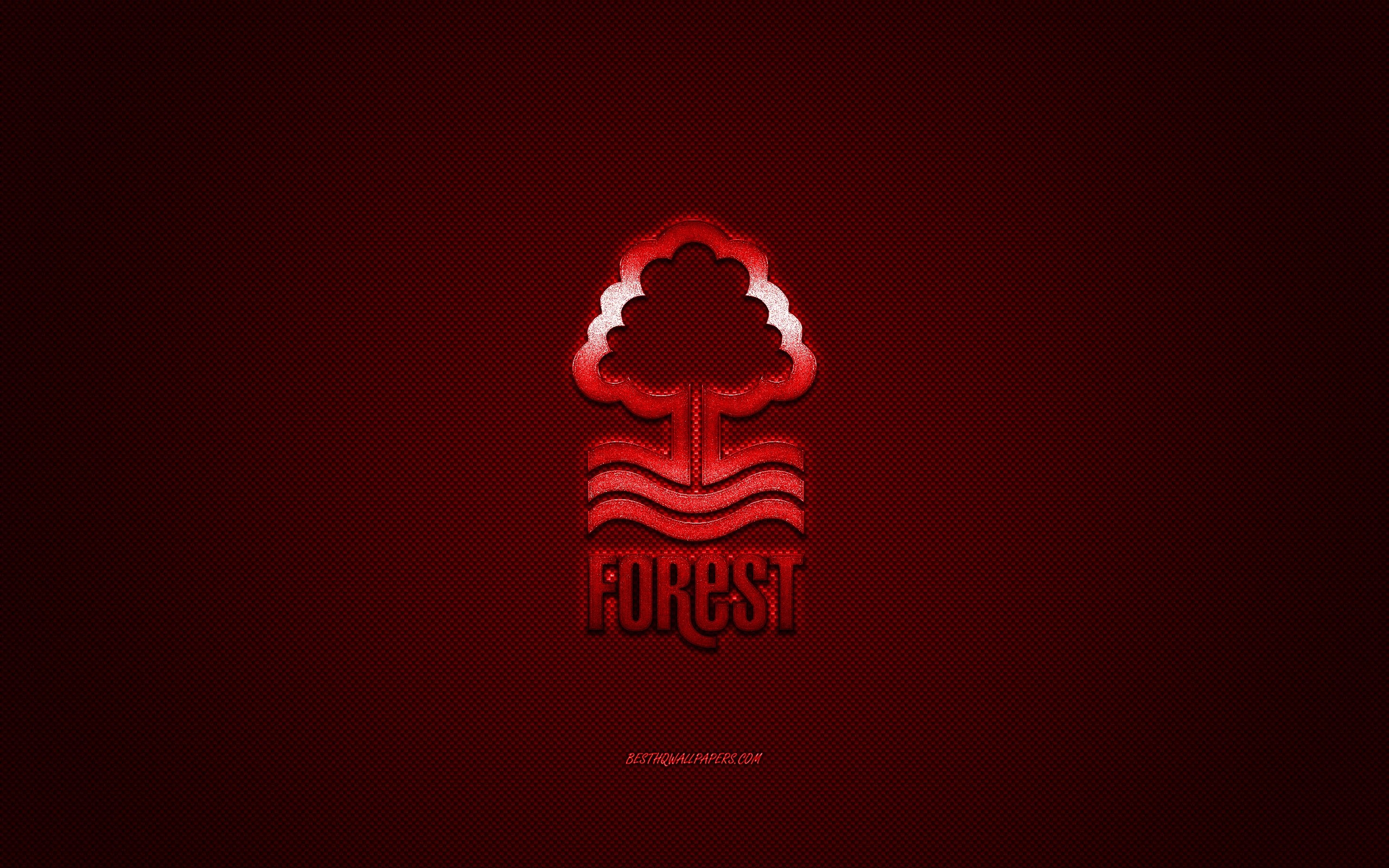 2560x1600 Download wallpaper Nottingham Forest FC, English football club, EFL Championship, red logo, red carbon fiber background, football, Nottingham, Nottingham Forest FC logo for desktop with resolution. High Quality HD picture wallpaper, Desktop