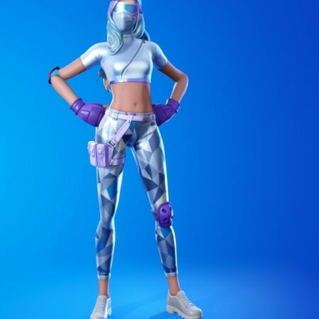 450x450 Ice Raider Fortnite wallpaper, Phone