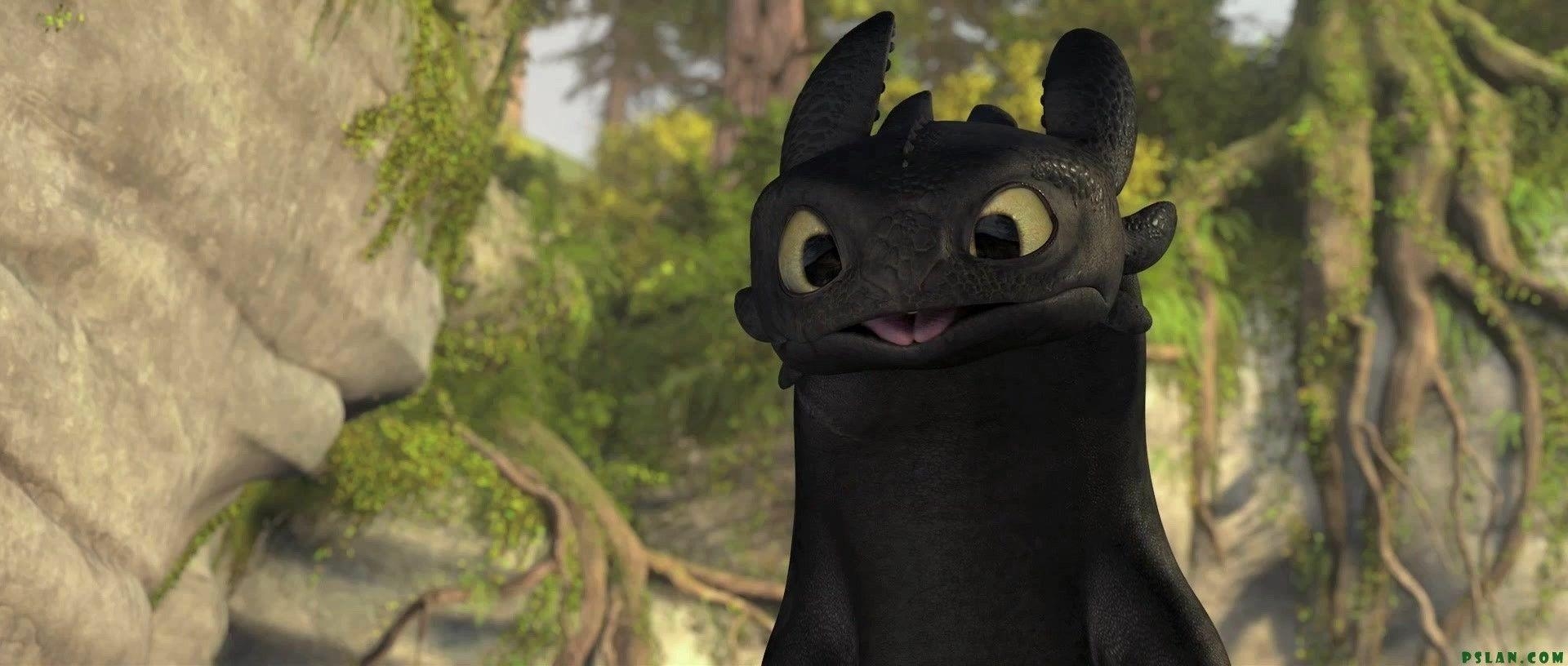 1920x820 Toothless to Train Your Dragon Photo, Dual Screen