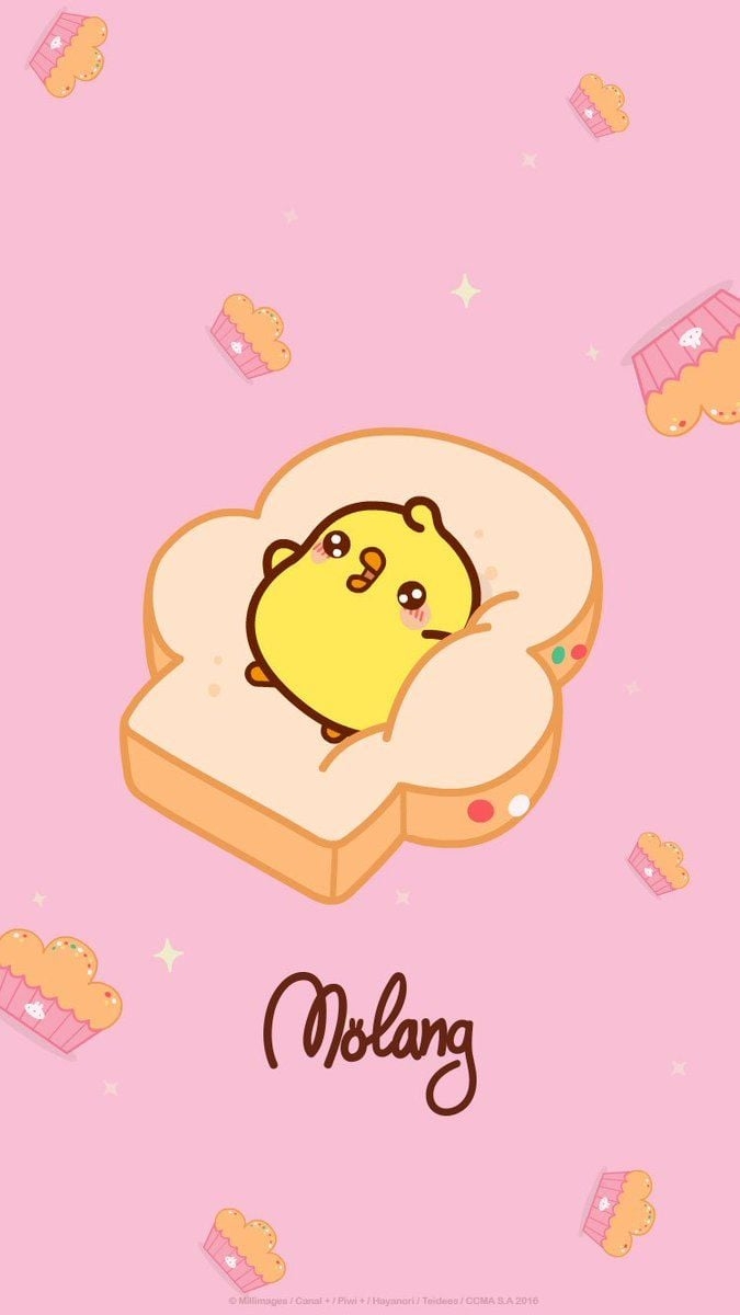 680x1200 Molang Wallpaper, Phone