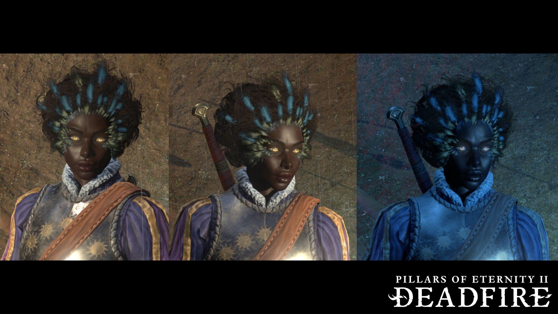 1920x1080 Pillars of Eternity II: Deadfire: Backer Rewards, Desktop