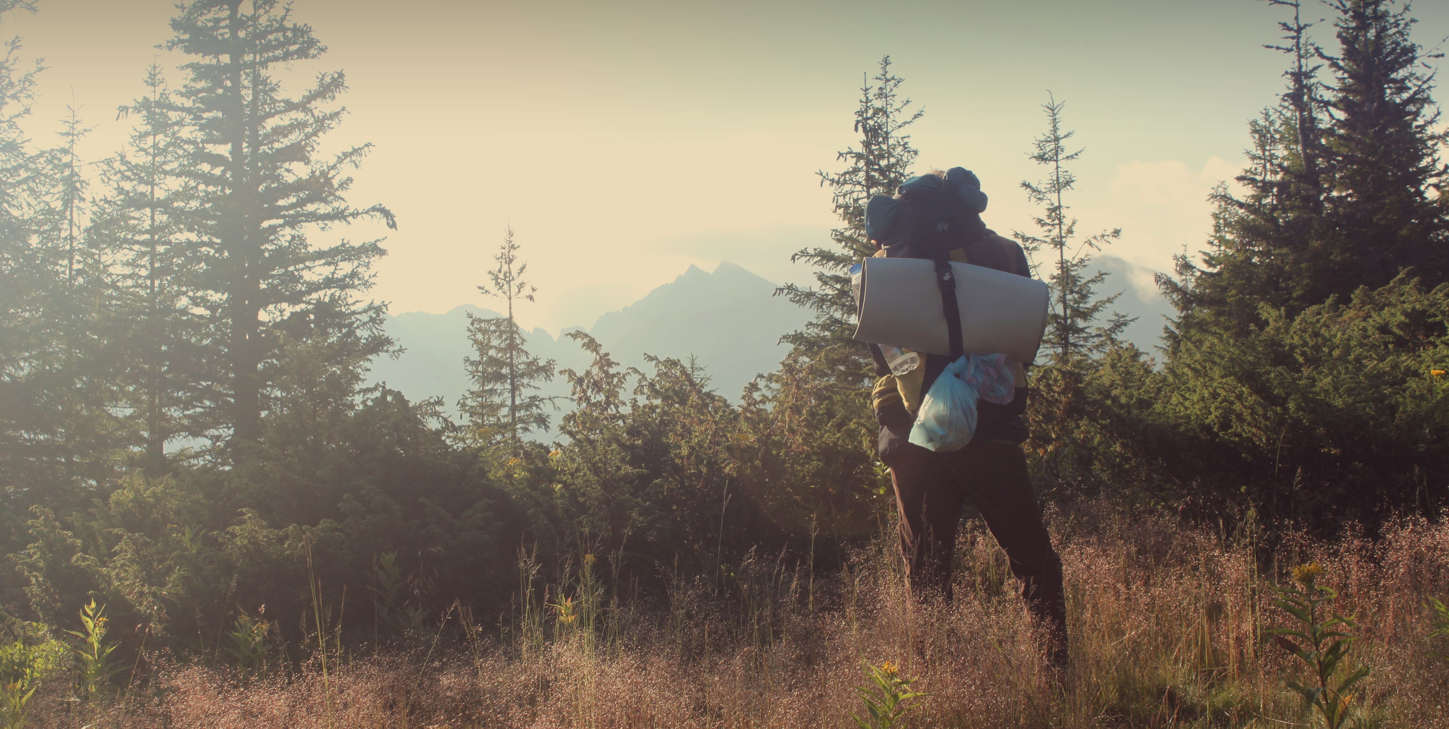 4760x2400 Wallpaper, traveller, forest, bag, alone, nature, Desktop