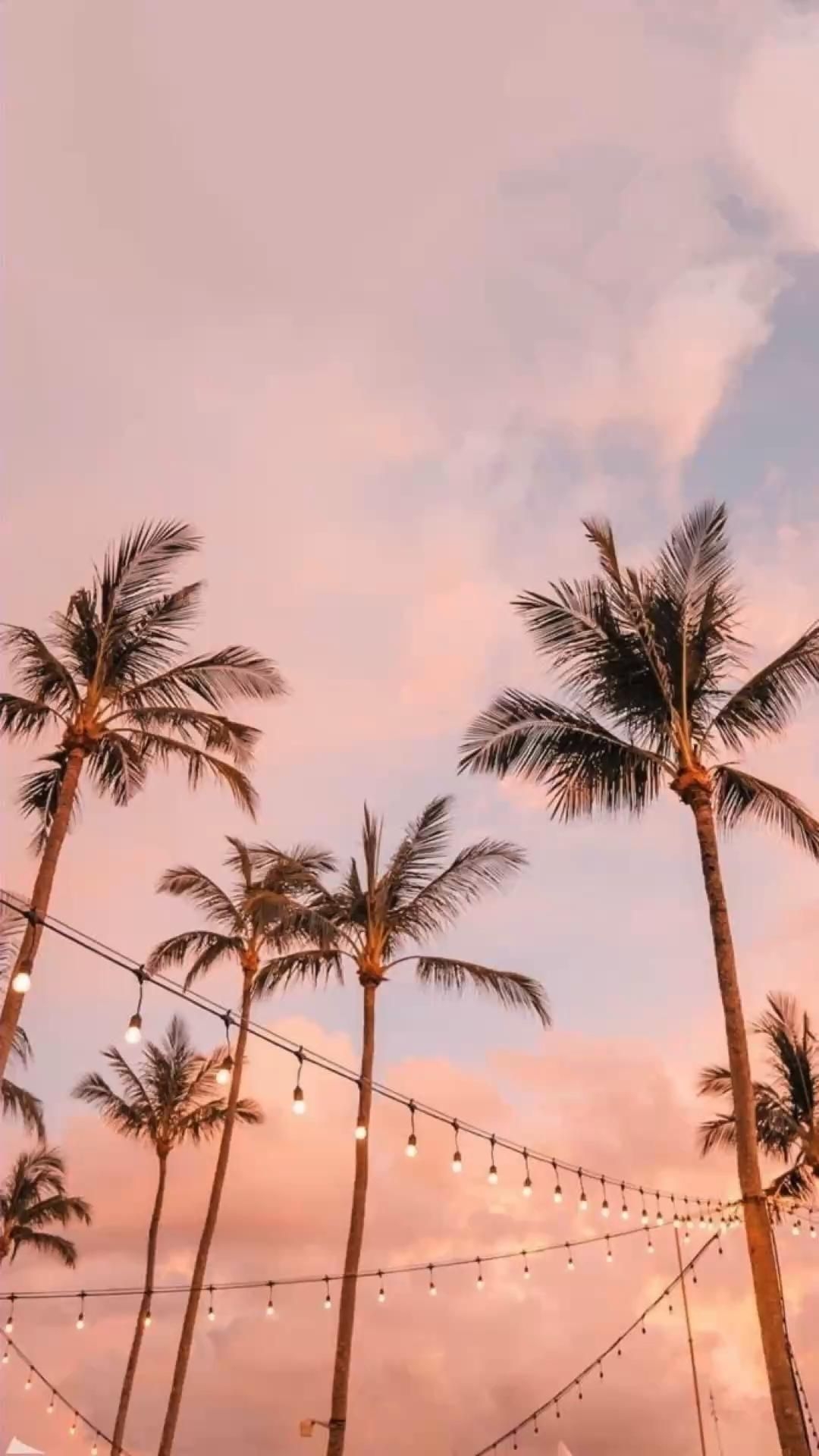 1080x1920 Free download Aesthetic palm tree summer wallpaper for iPhone in 2022 iPhone [] for your Desktop, Mobile & Tablet. Explore Hipster Summer Wallpaper. Hipster Computer Background, Hipster Computer Wallpaper, Hipster Wallpaper Tumblr, Phone