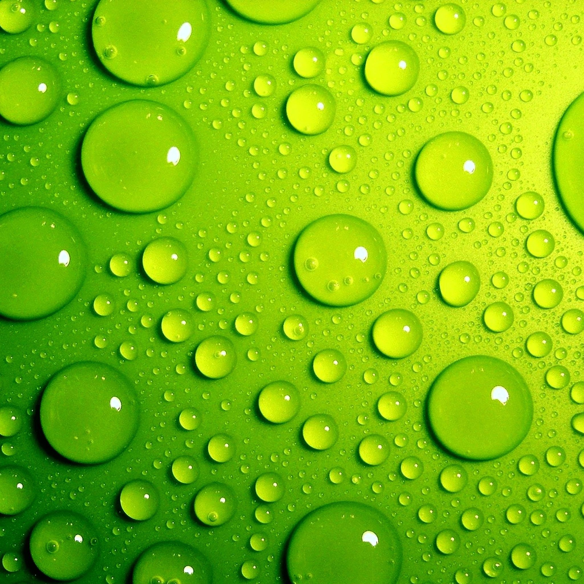 2050x2050 HD Green iPad Wallpaper, Phone