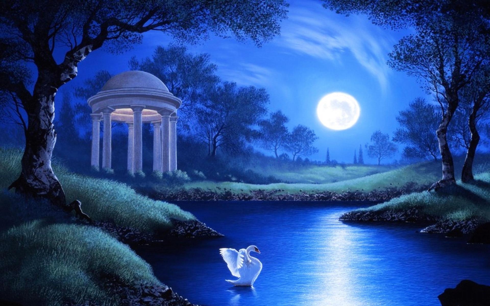 1920x1200 Swan in Garden Lake on Full Moon Night HD Wallpaper, Desktop