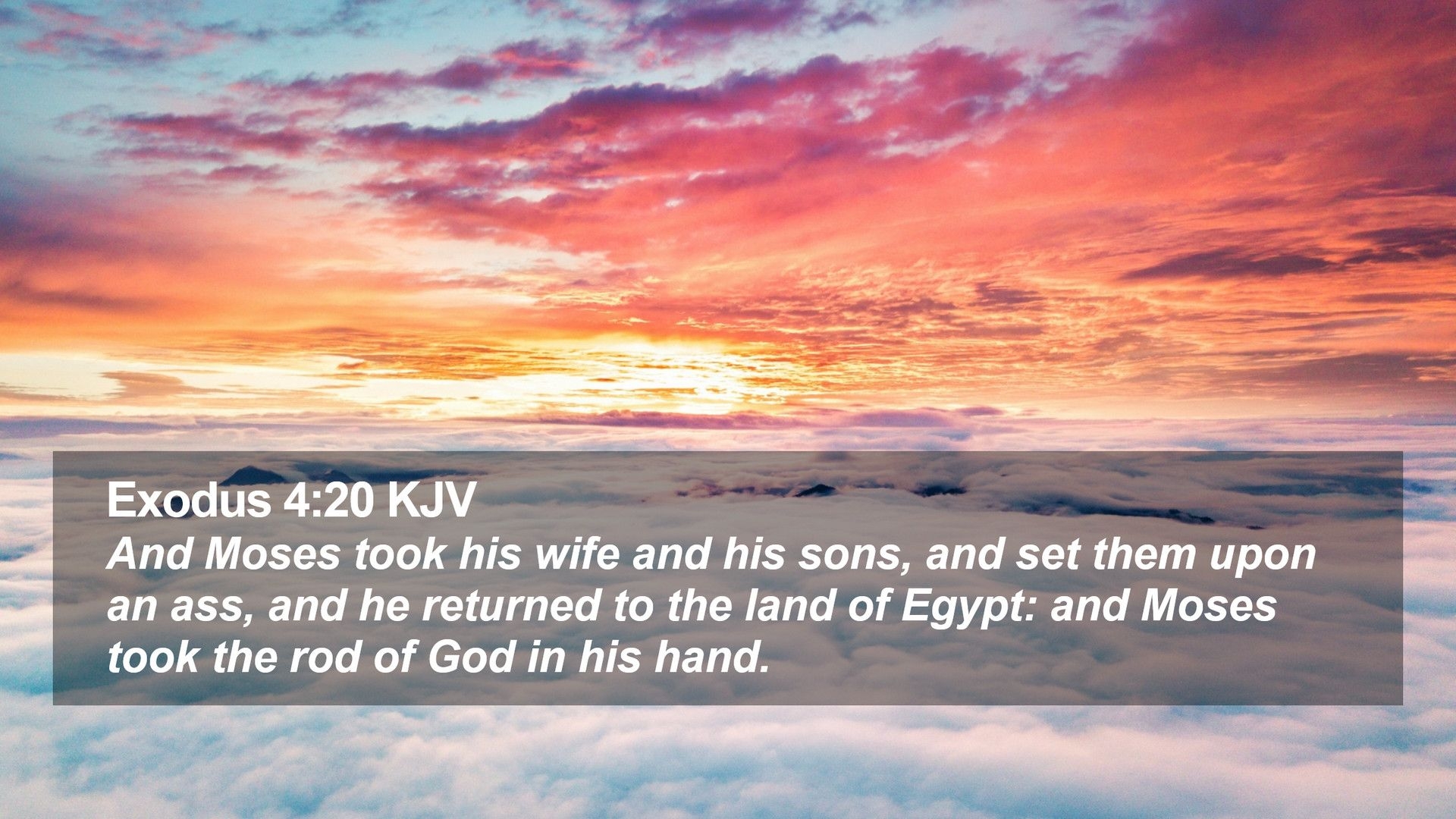 1920x1080 Exodus 4:20 KJV Desktop Wallpaper Moses took his wife and his sons, Desktop